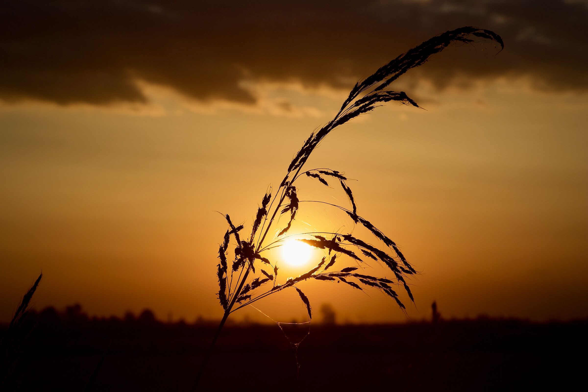 Yesterday, at sunset