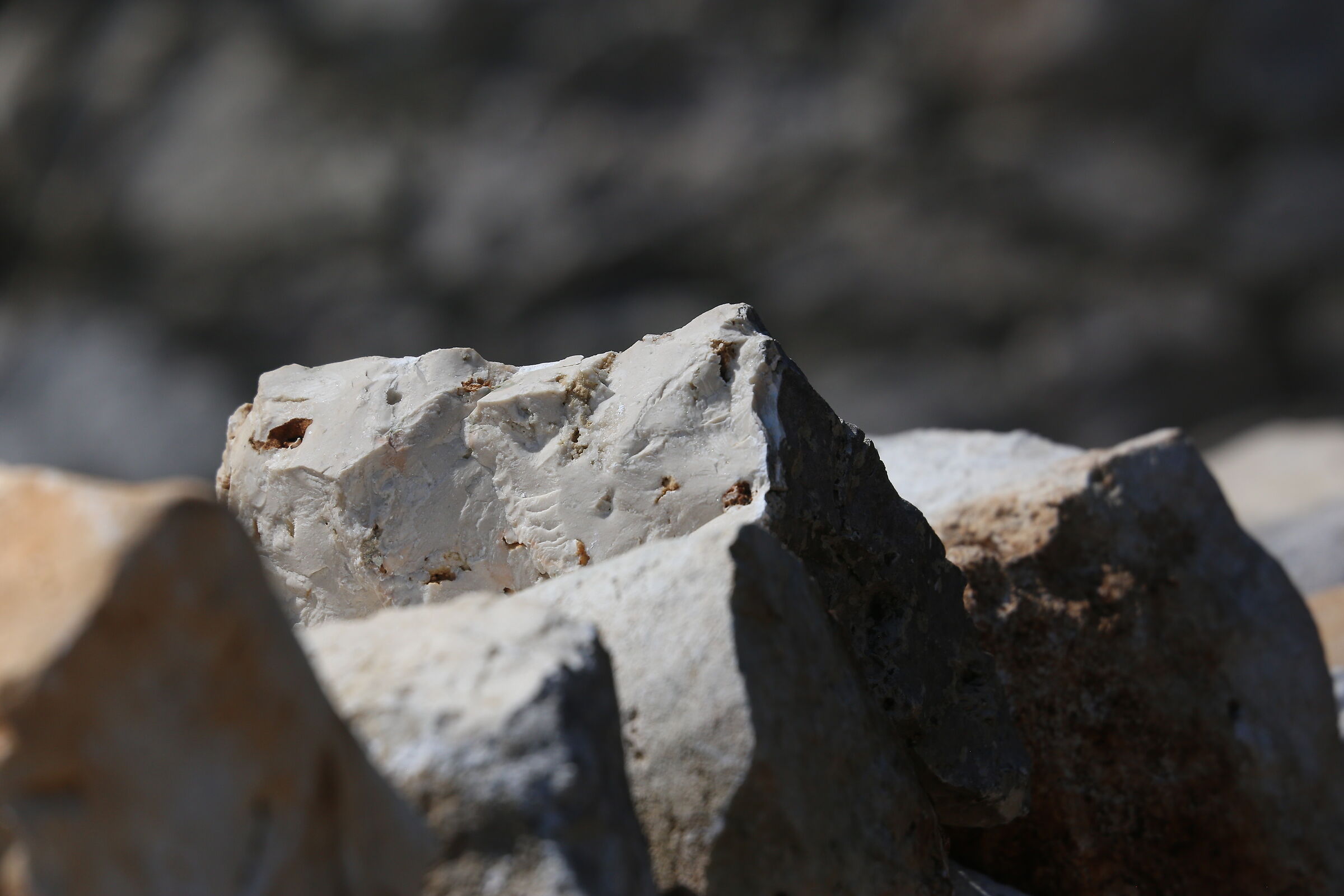 A 200 / Canon 70-300 DO IS USM