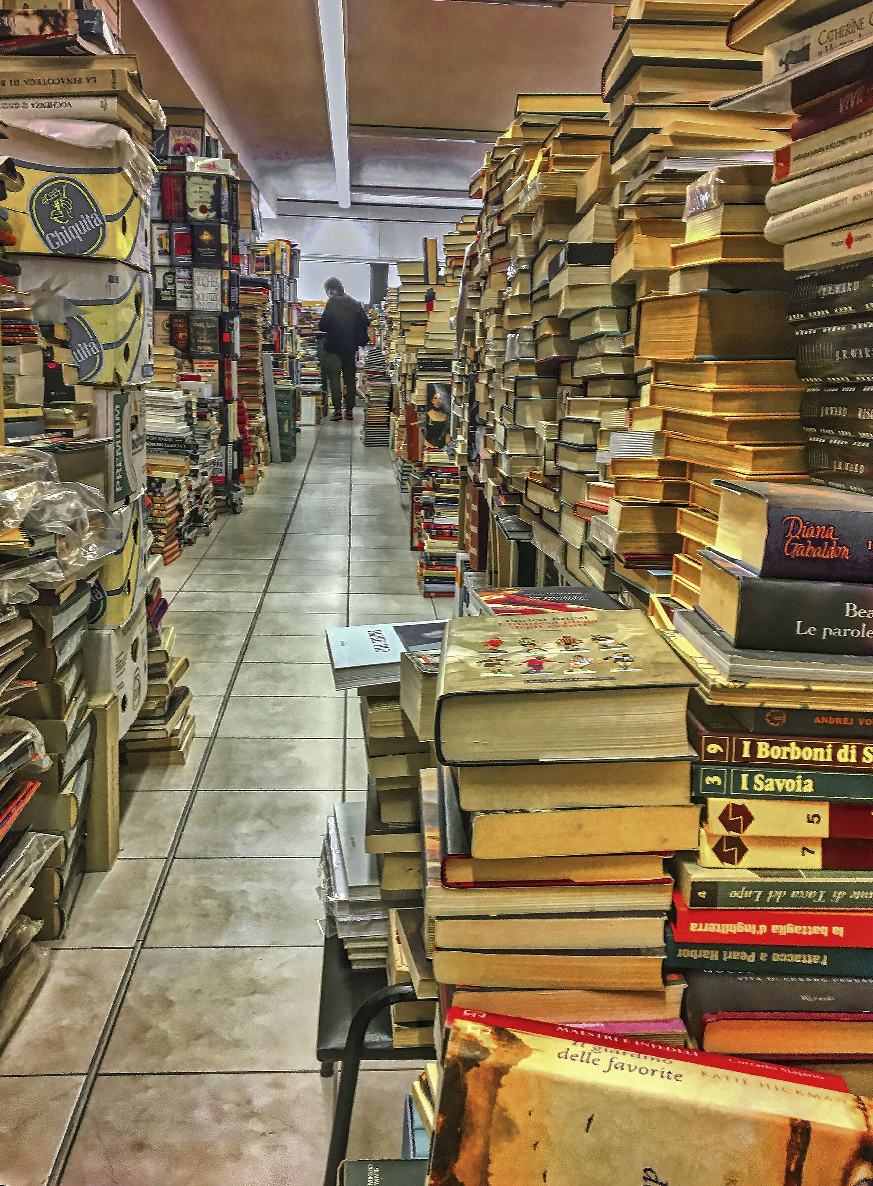 An immense library of used books: Paradiso II