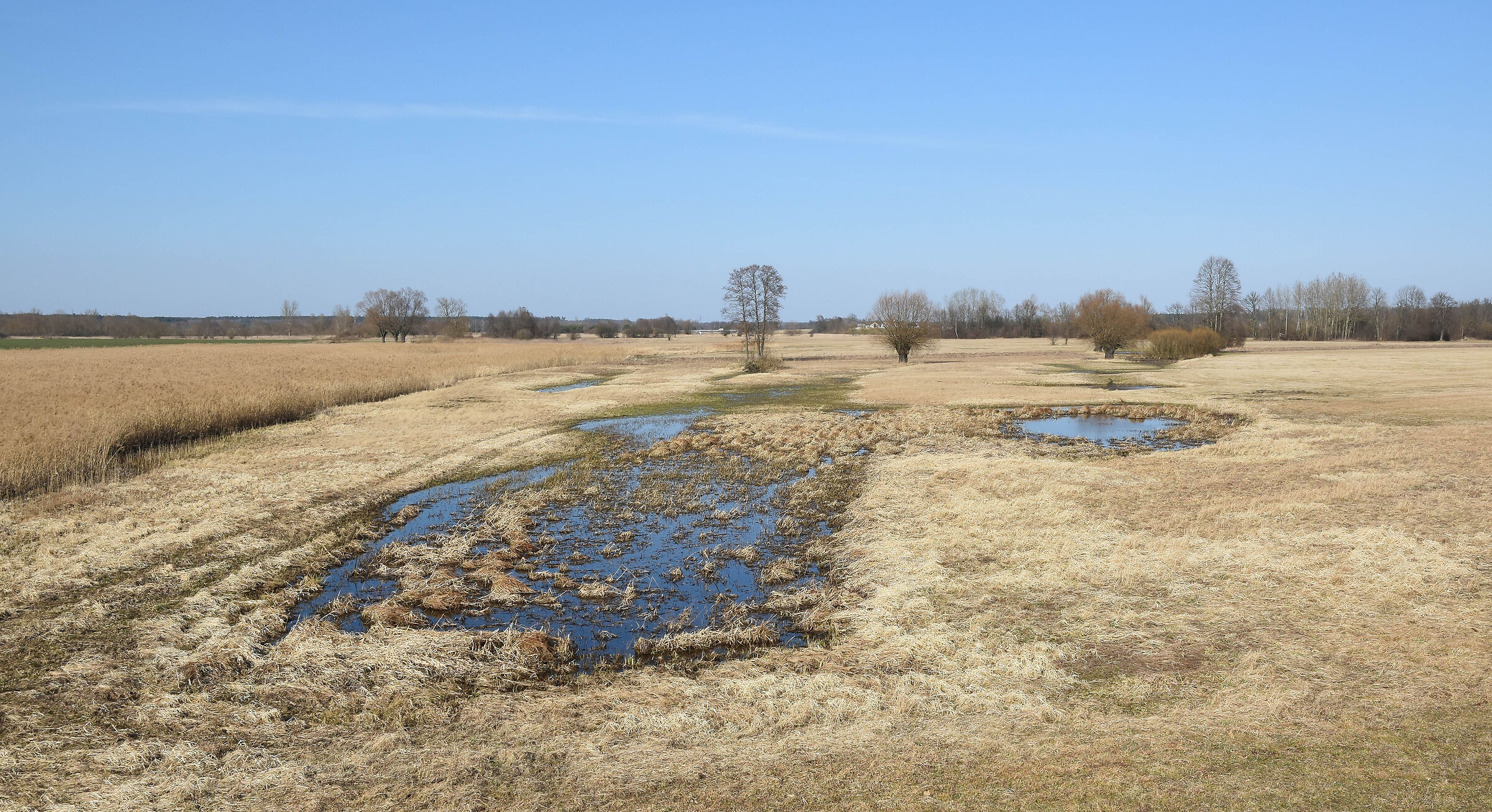 The Bug river valley