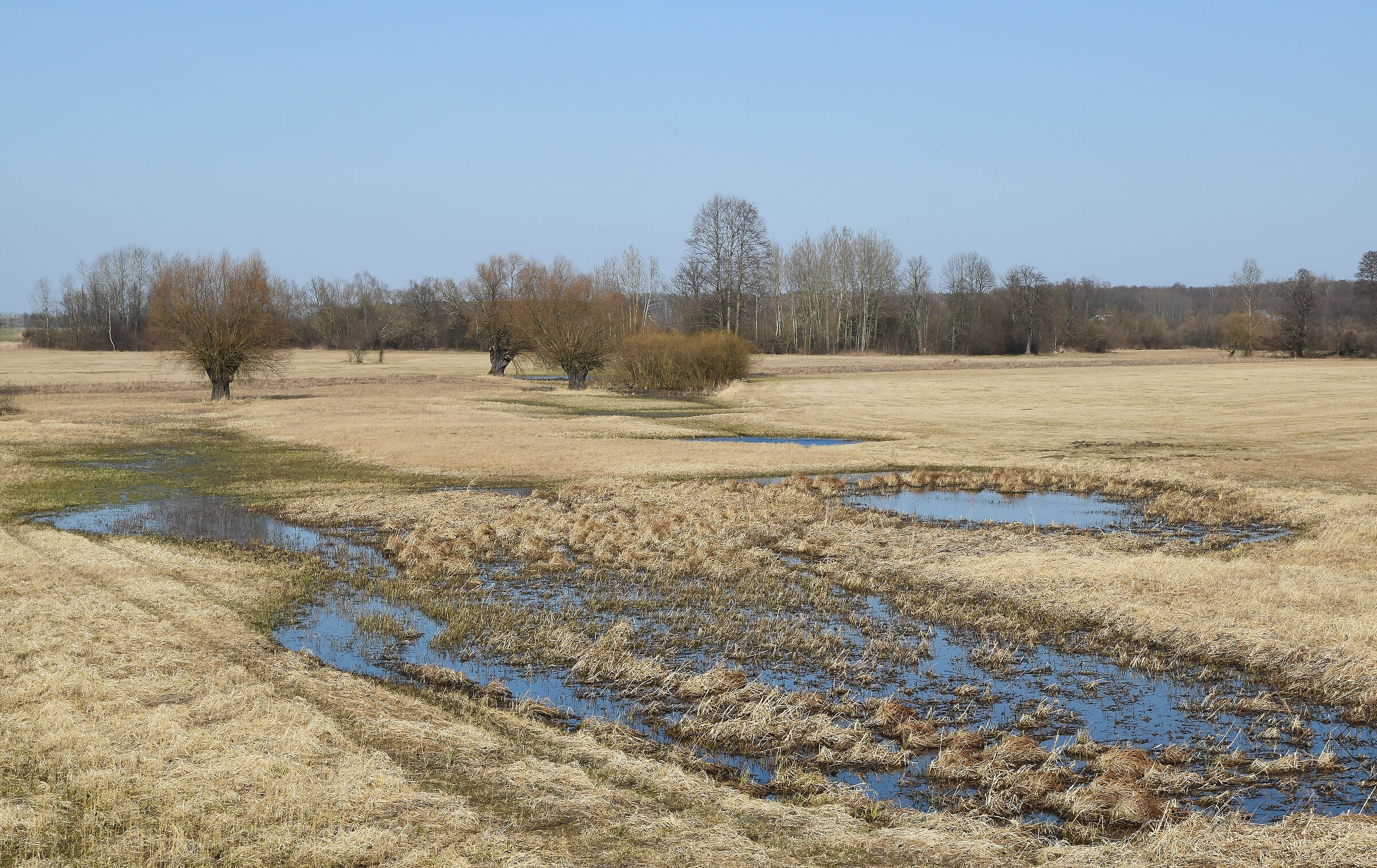 The Bug river valley