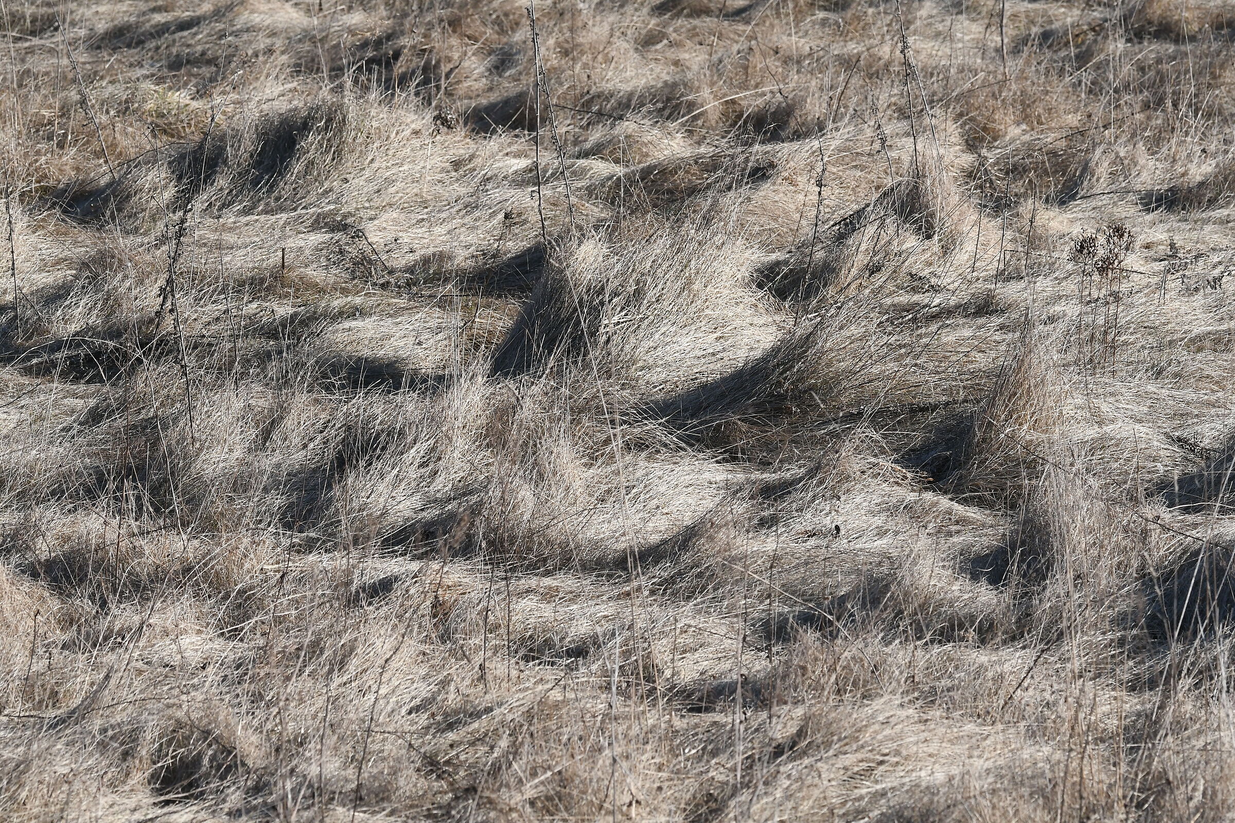 The Bug river valley