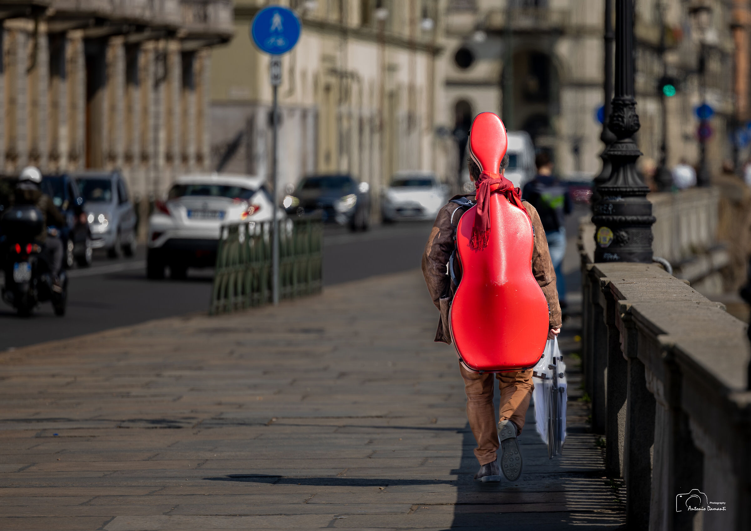 The cellist