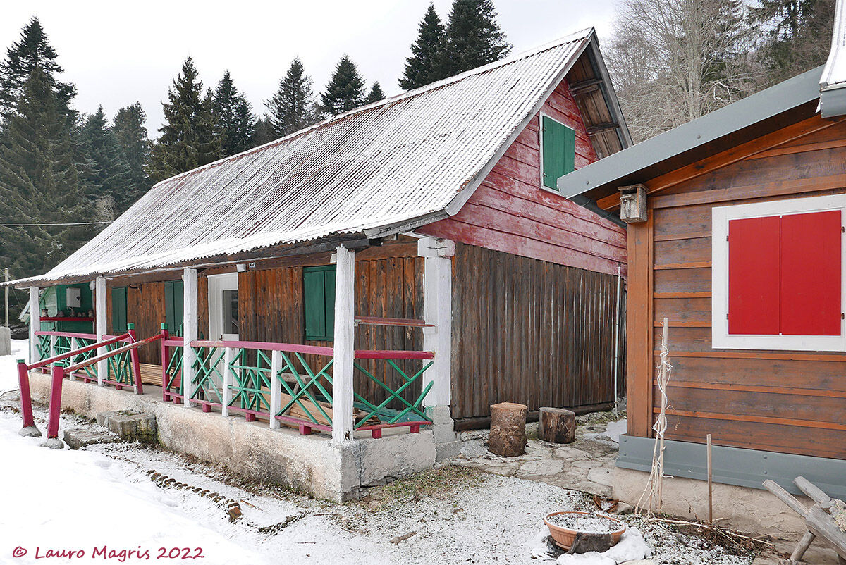 White, red and green