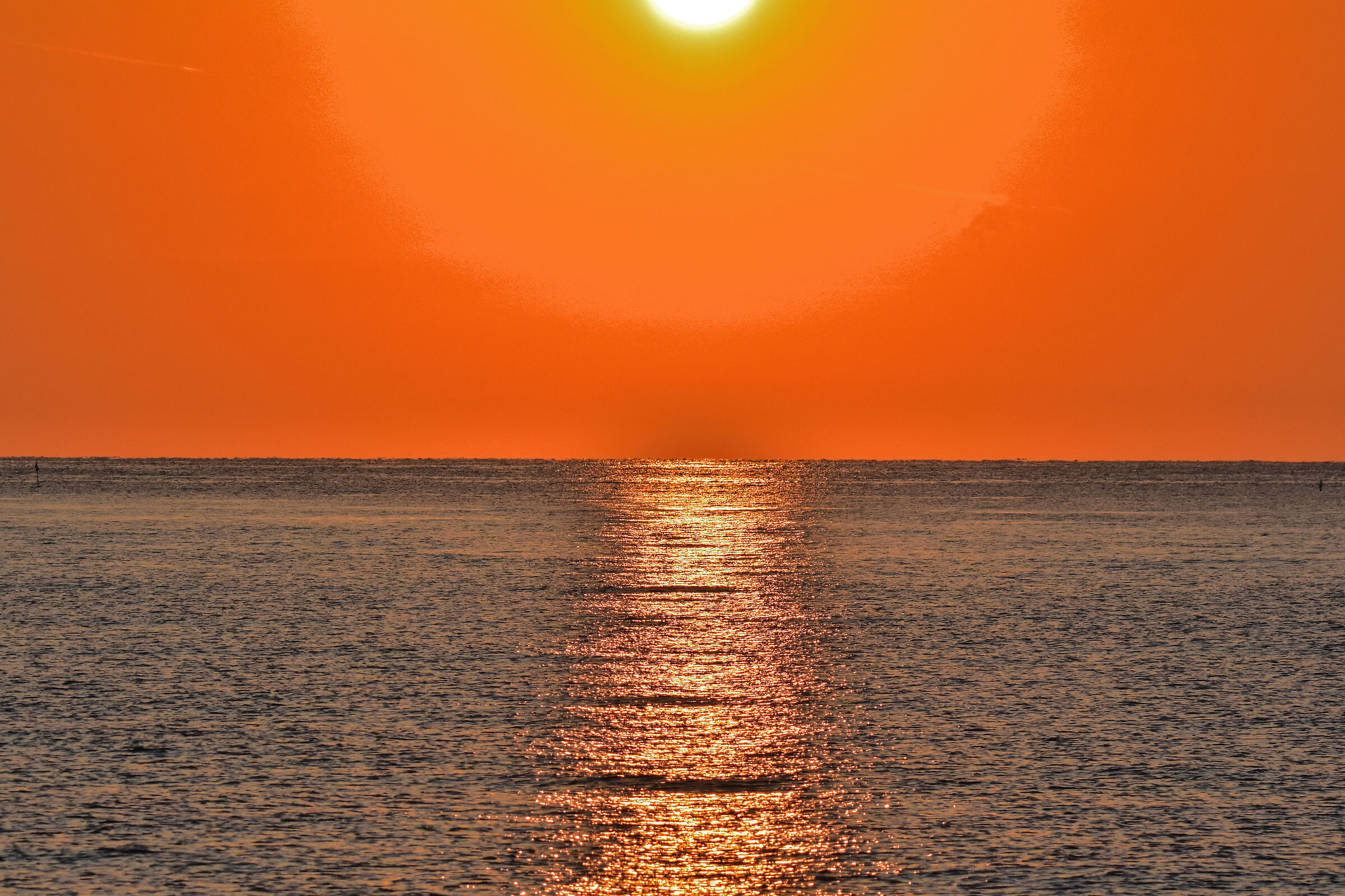 DAWN