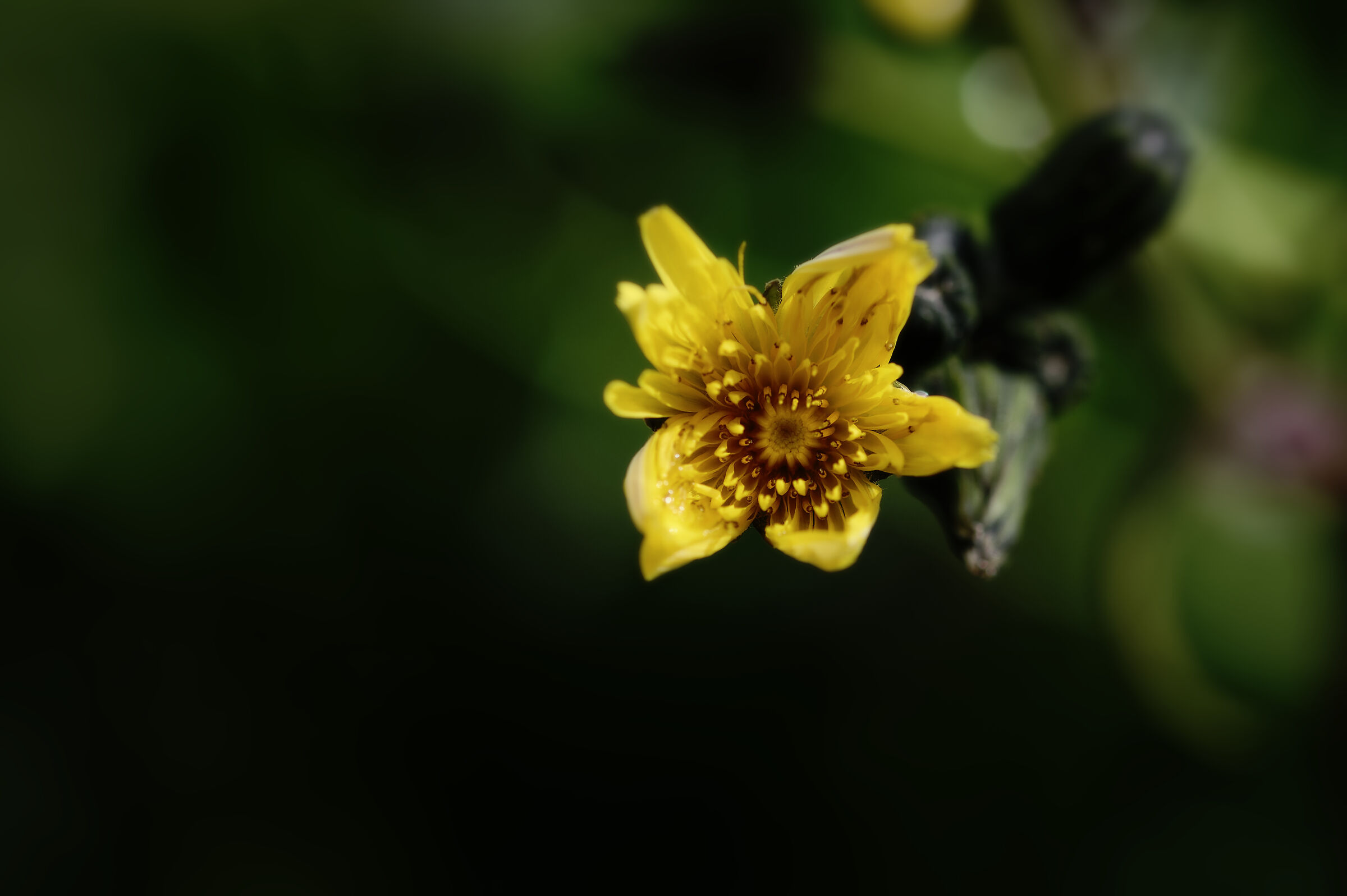 Untitled Photo