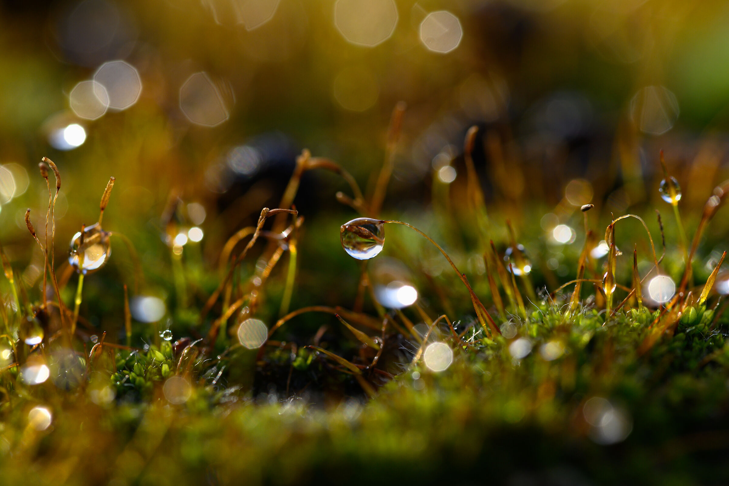 Untitled Photo