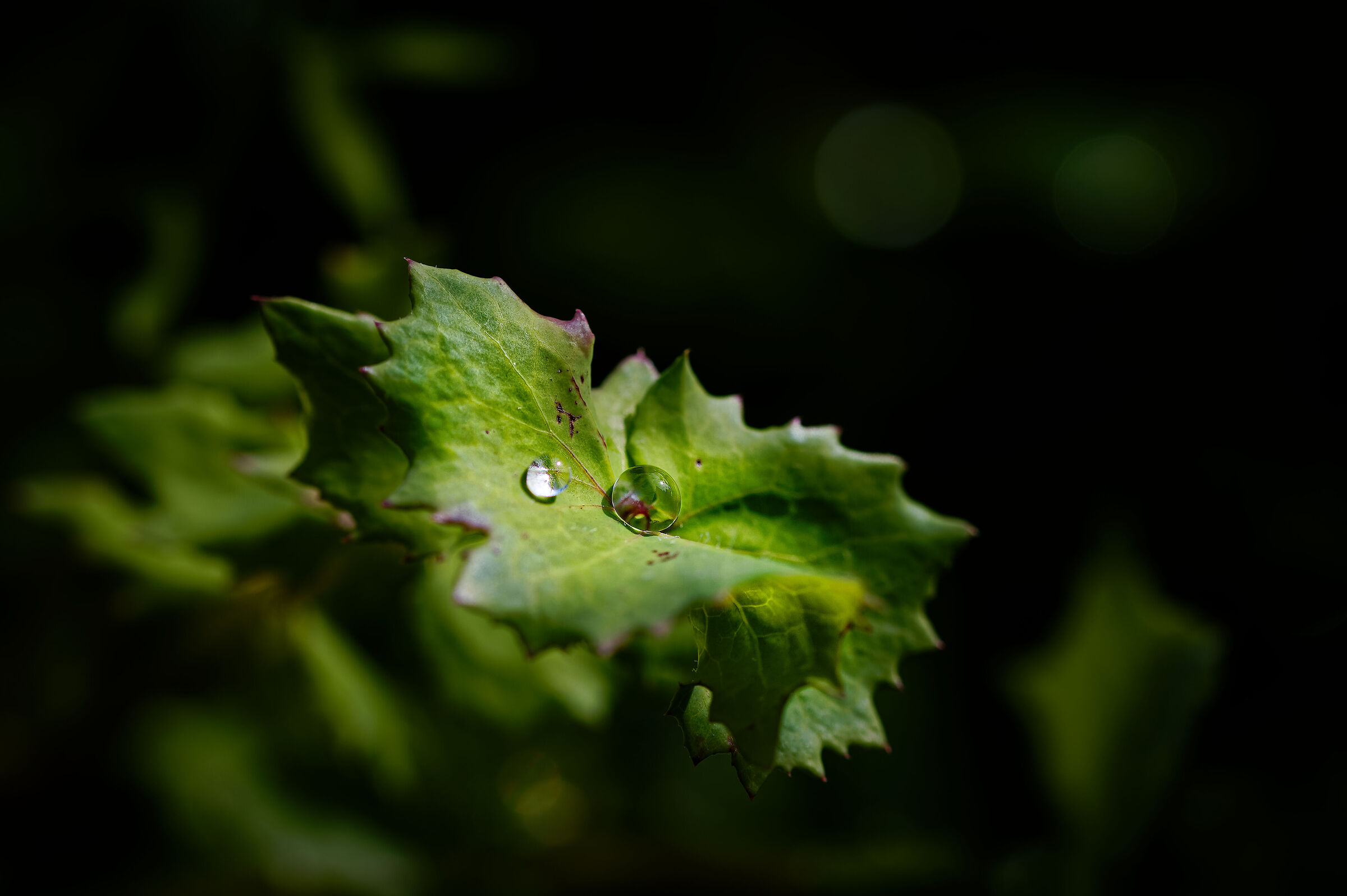 Untitled Photo