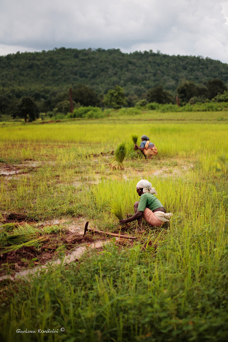 Hard work, on a very hot day
