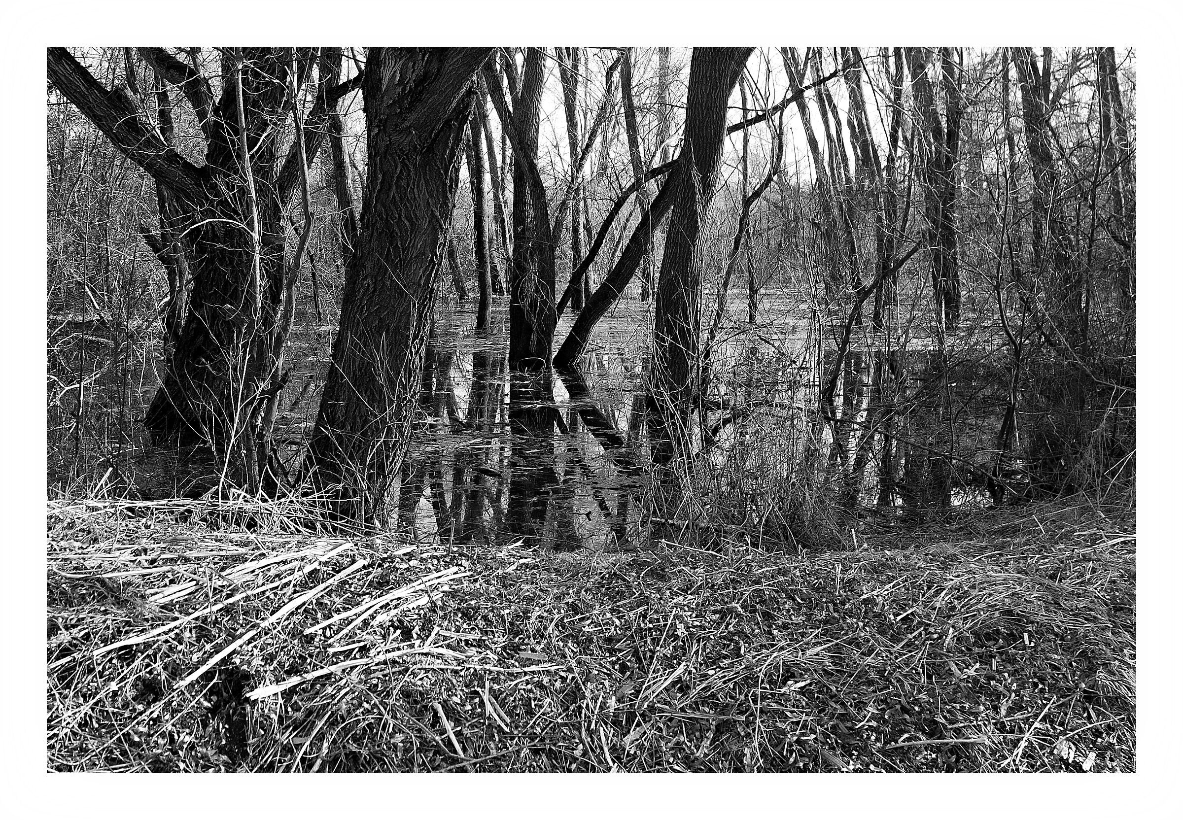 Untitled Photo