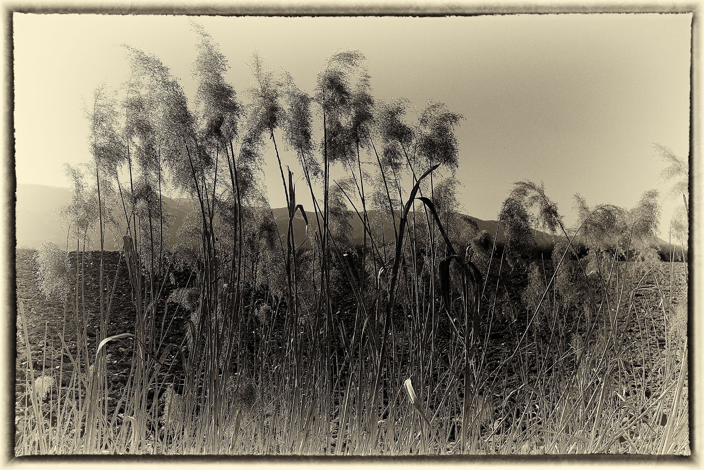Untitled Photo