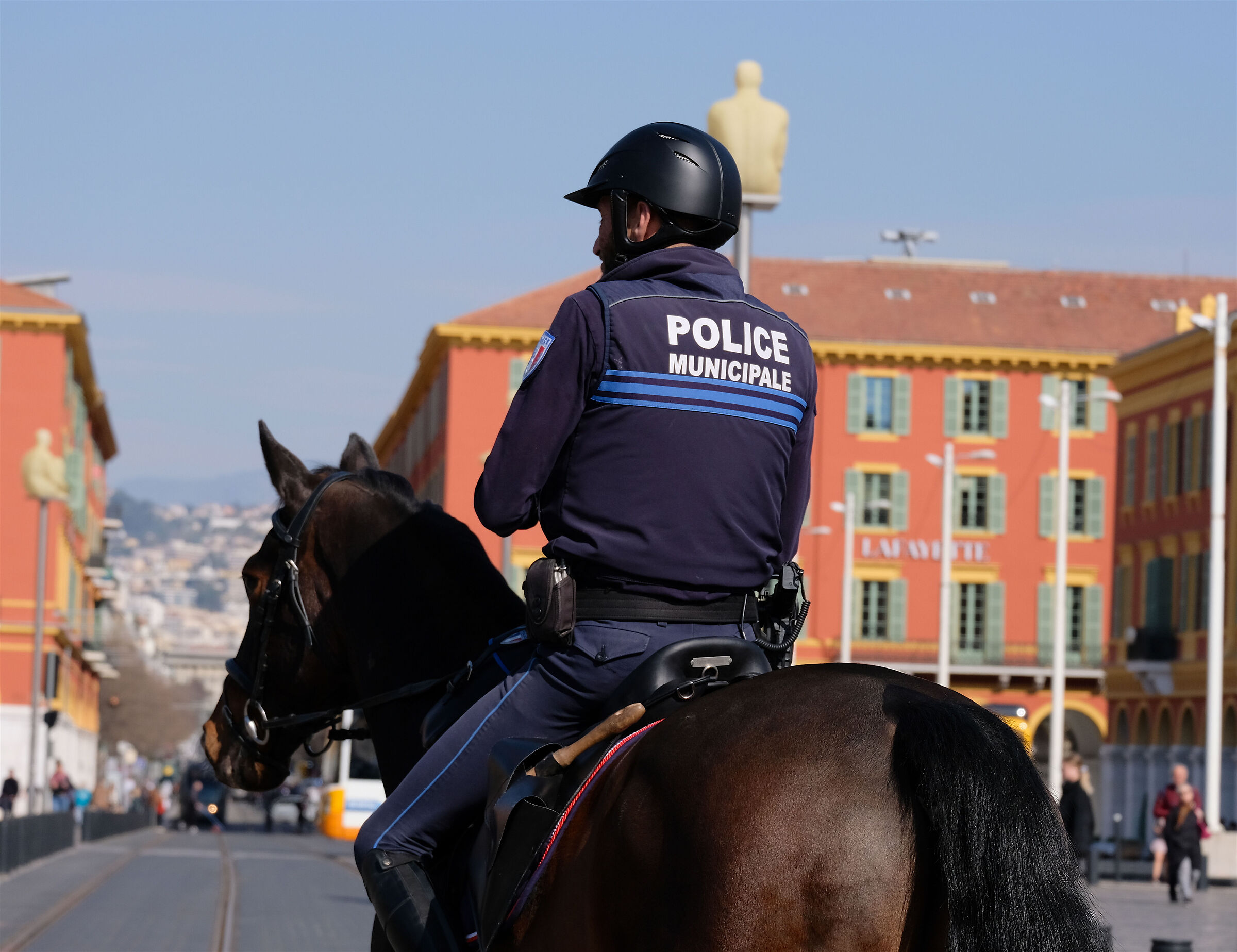 Polizziotto horse
