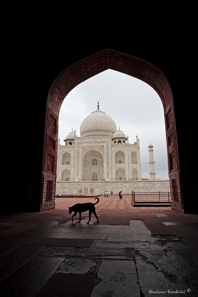 The place we call home