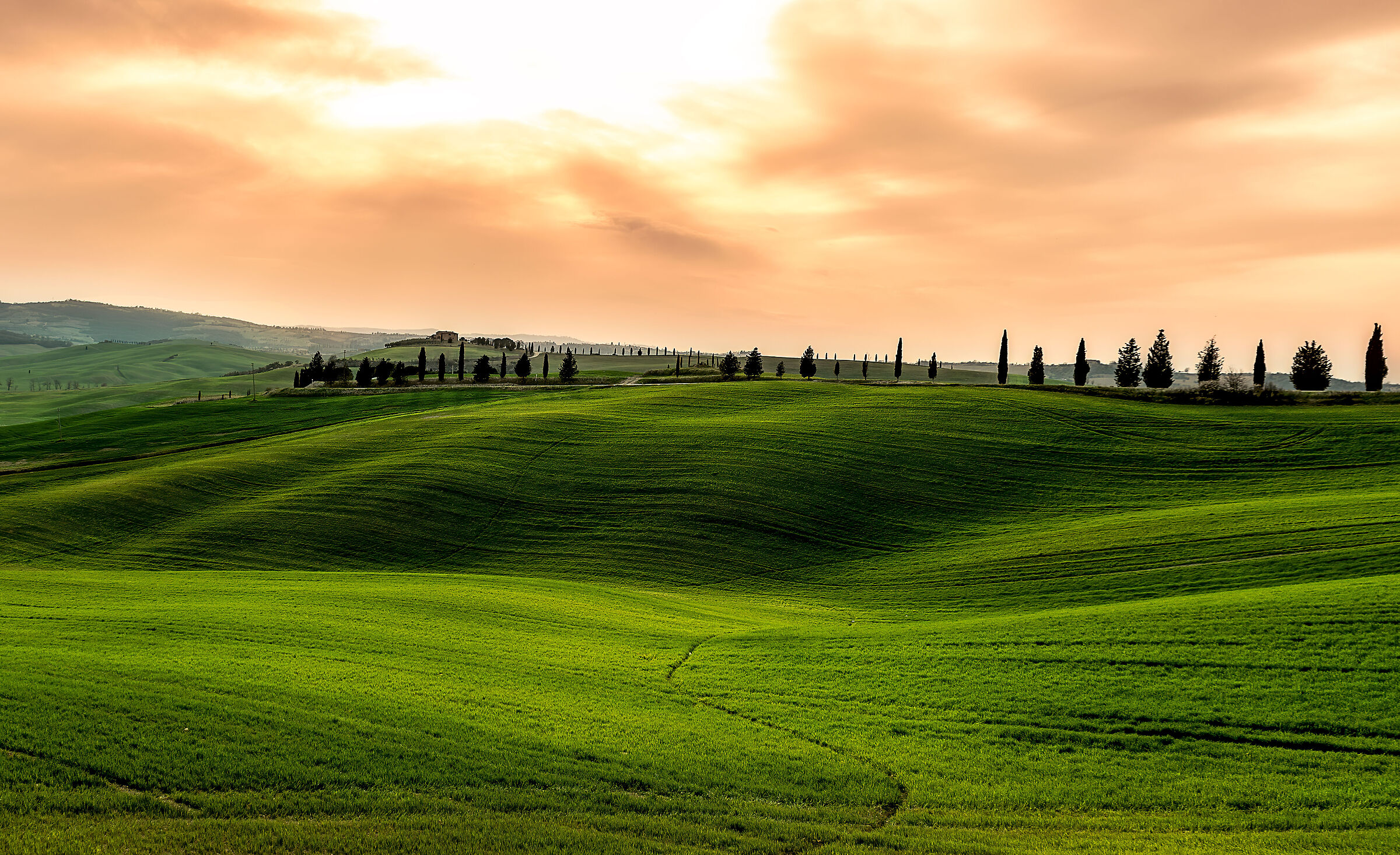 usual val d'orcia countryside +filter
