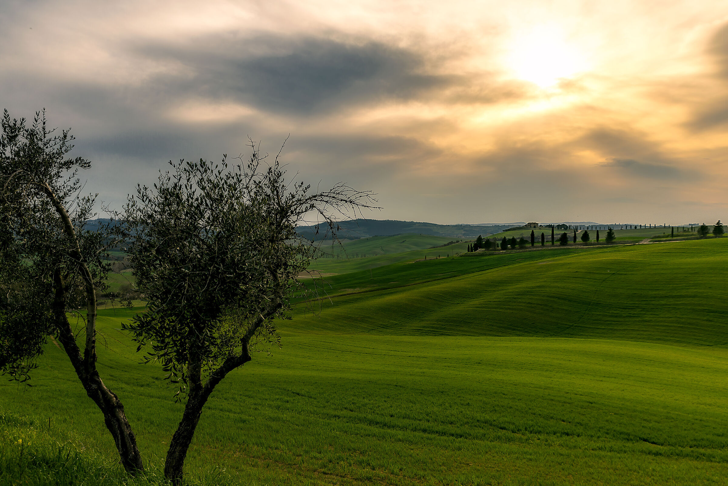 campagna in controluce