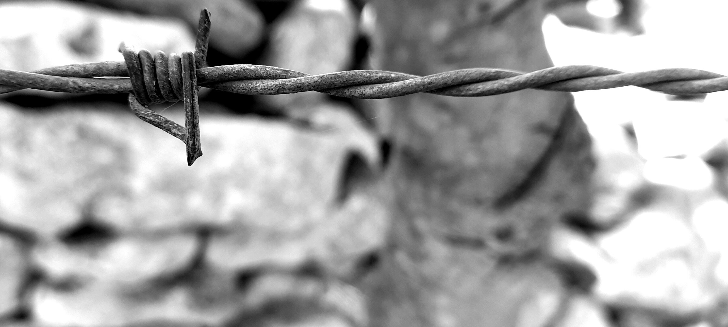 triste momento per un mondo violento