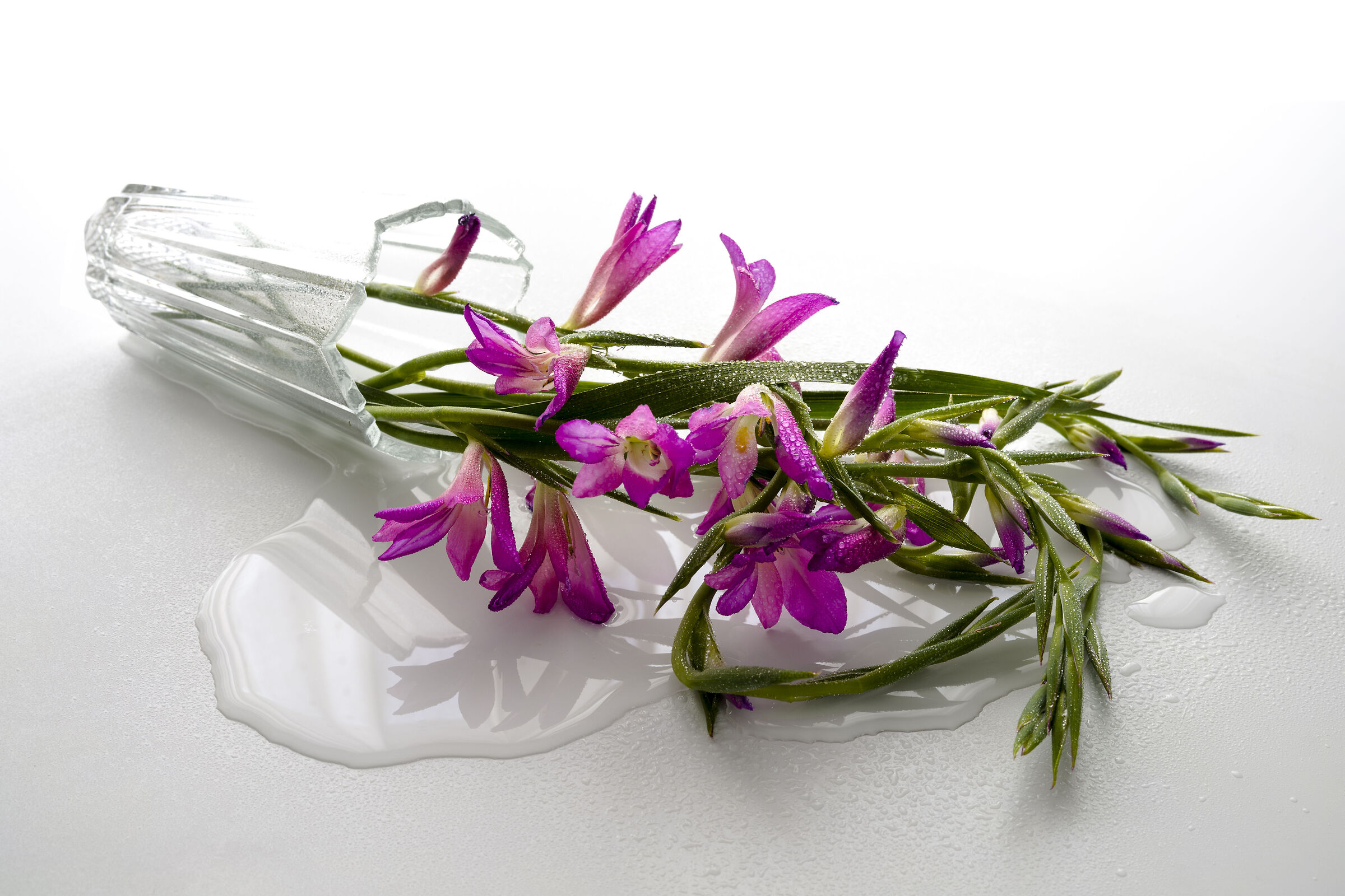 Niente di irriparabile...