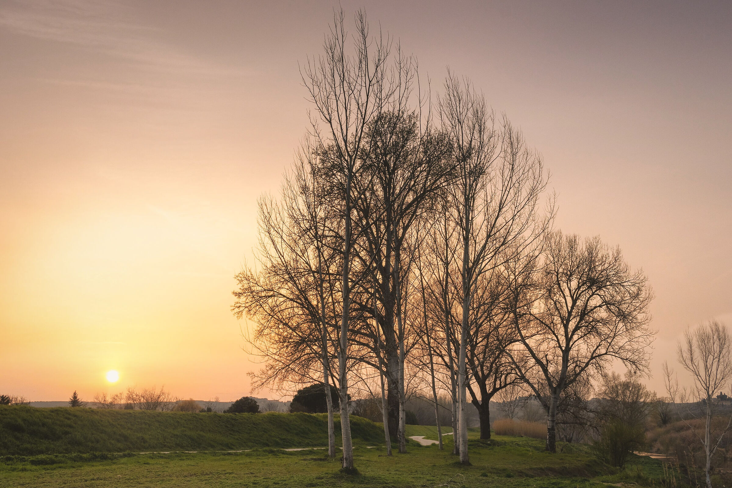 Backlight along the Arno