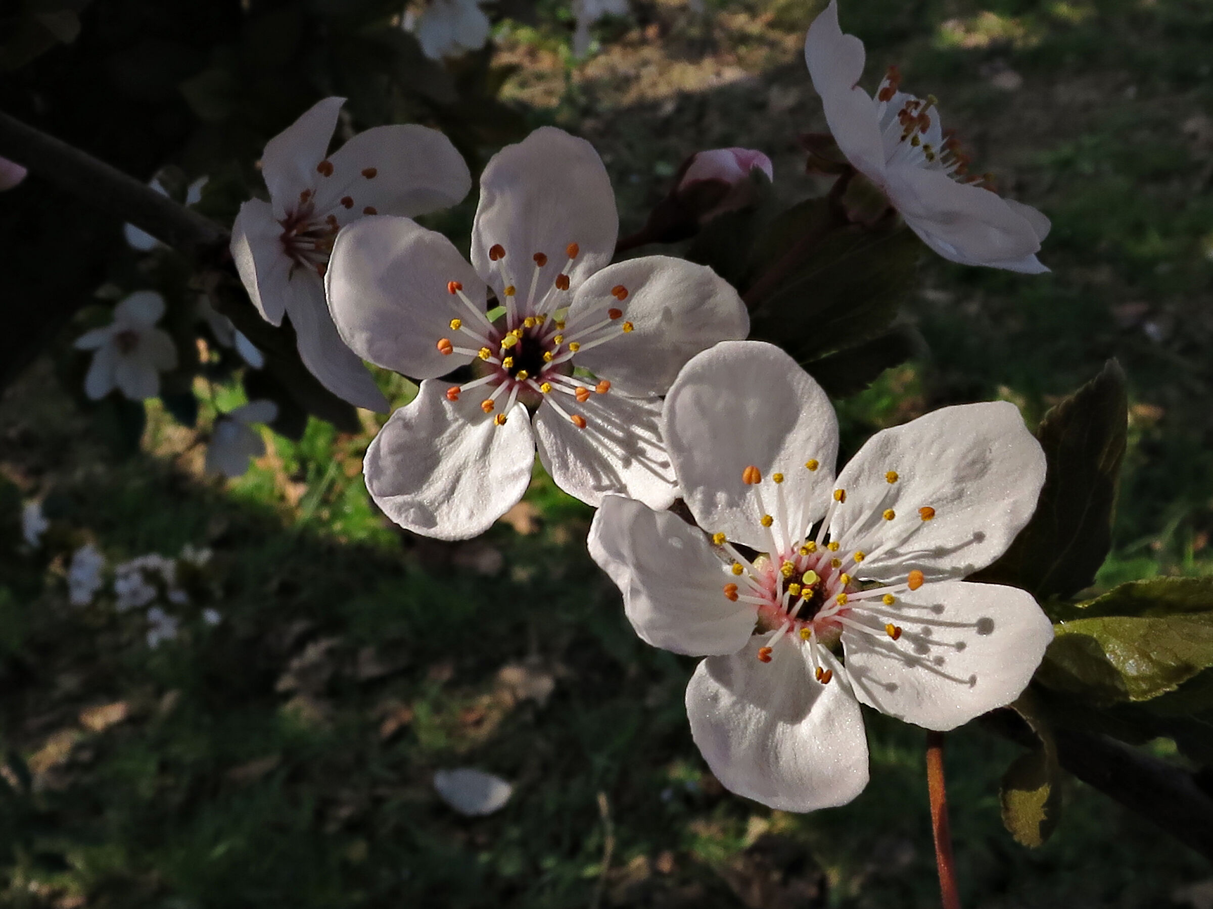 Appuntamento primaverile