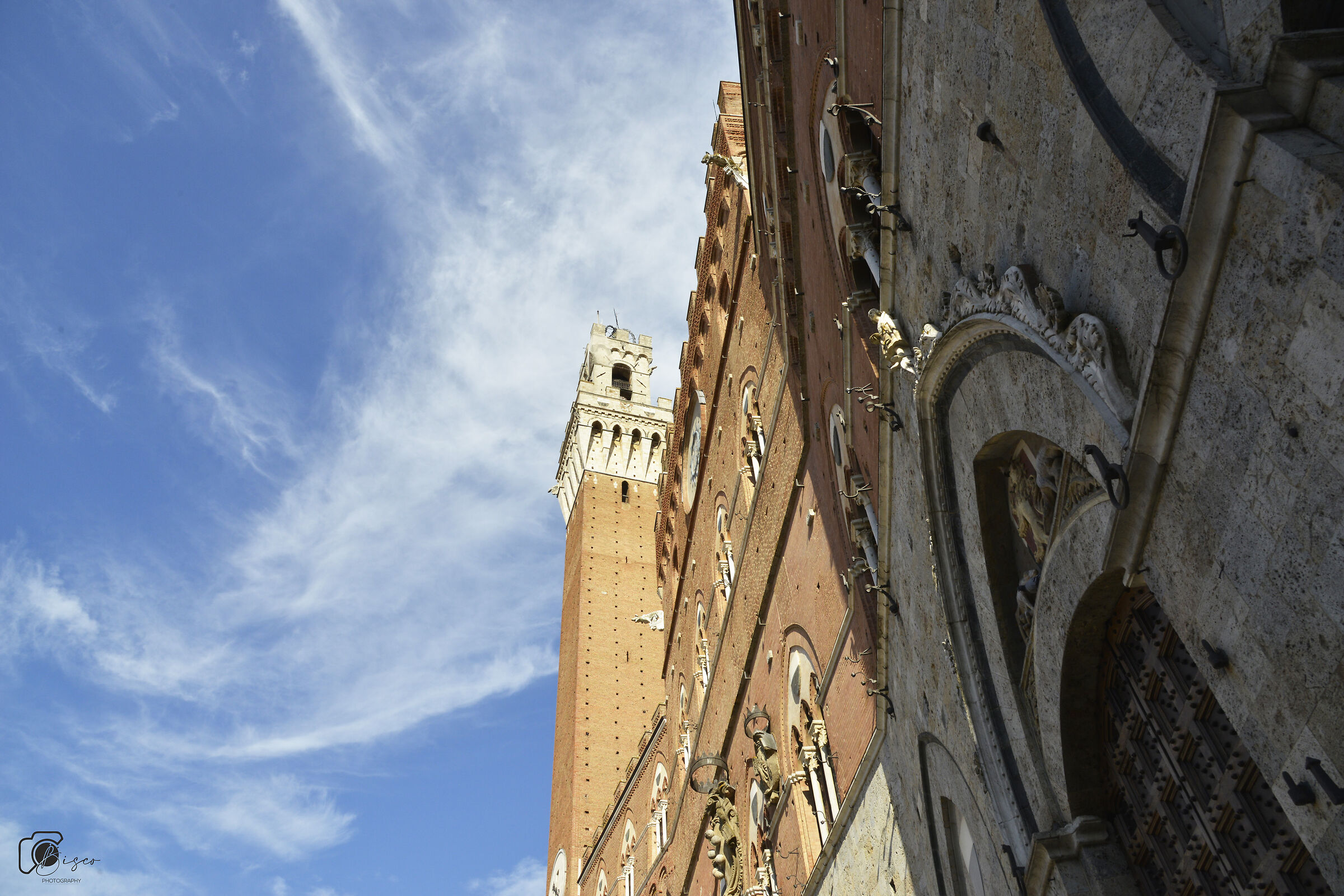 Vista particolare Torre del Mangia Siena