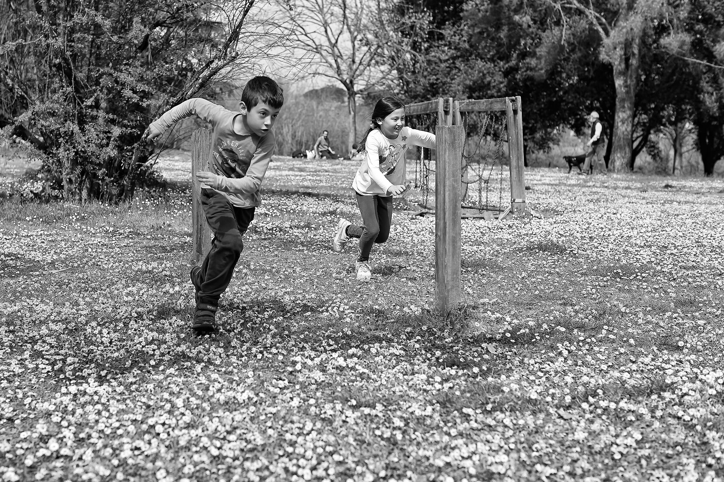 Il gioco
