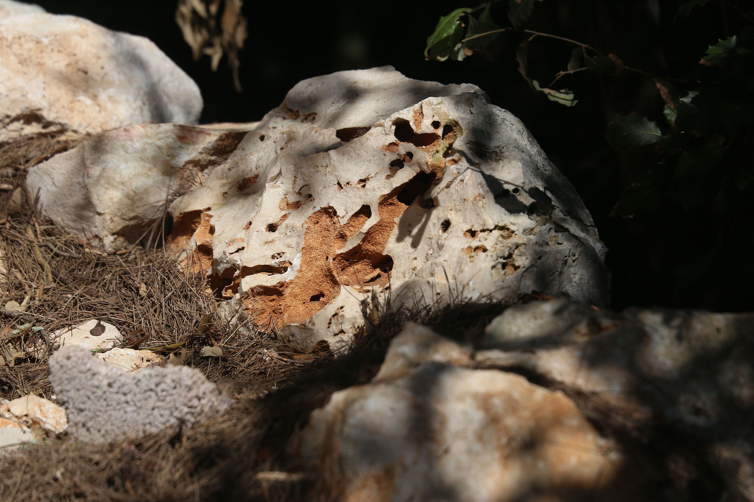 A 200 / Canon 6D- DO 70-300 IS USM