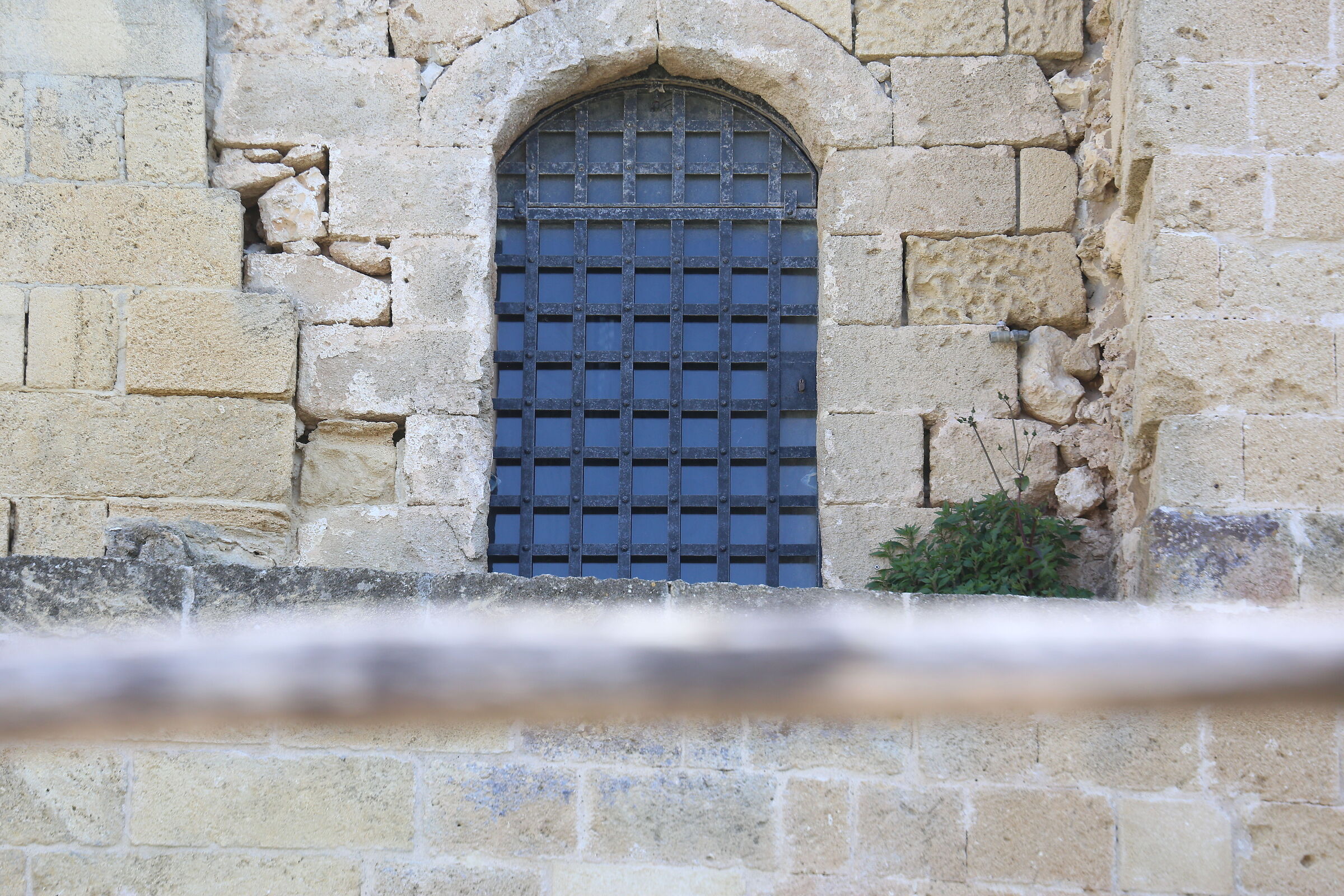 A 200 / Canon 6D- DO 70-300 IS USM