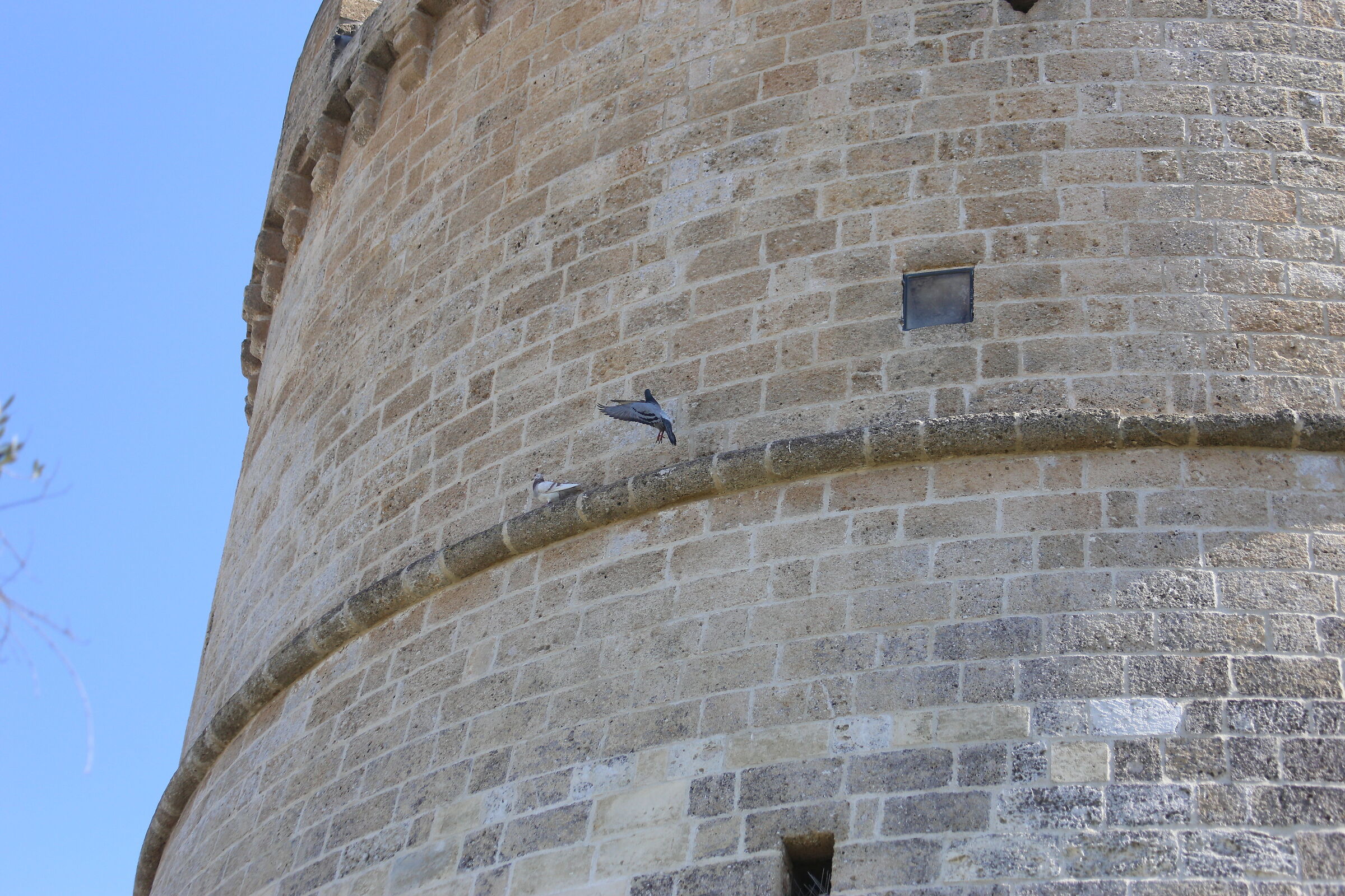 Canon 6D- DO 70-300 IS USM