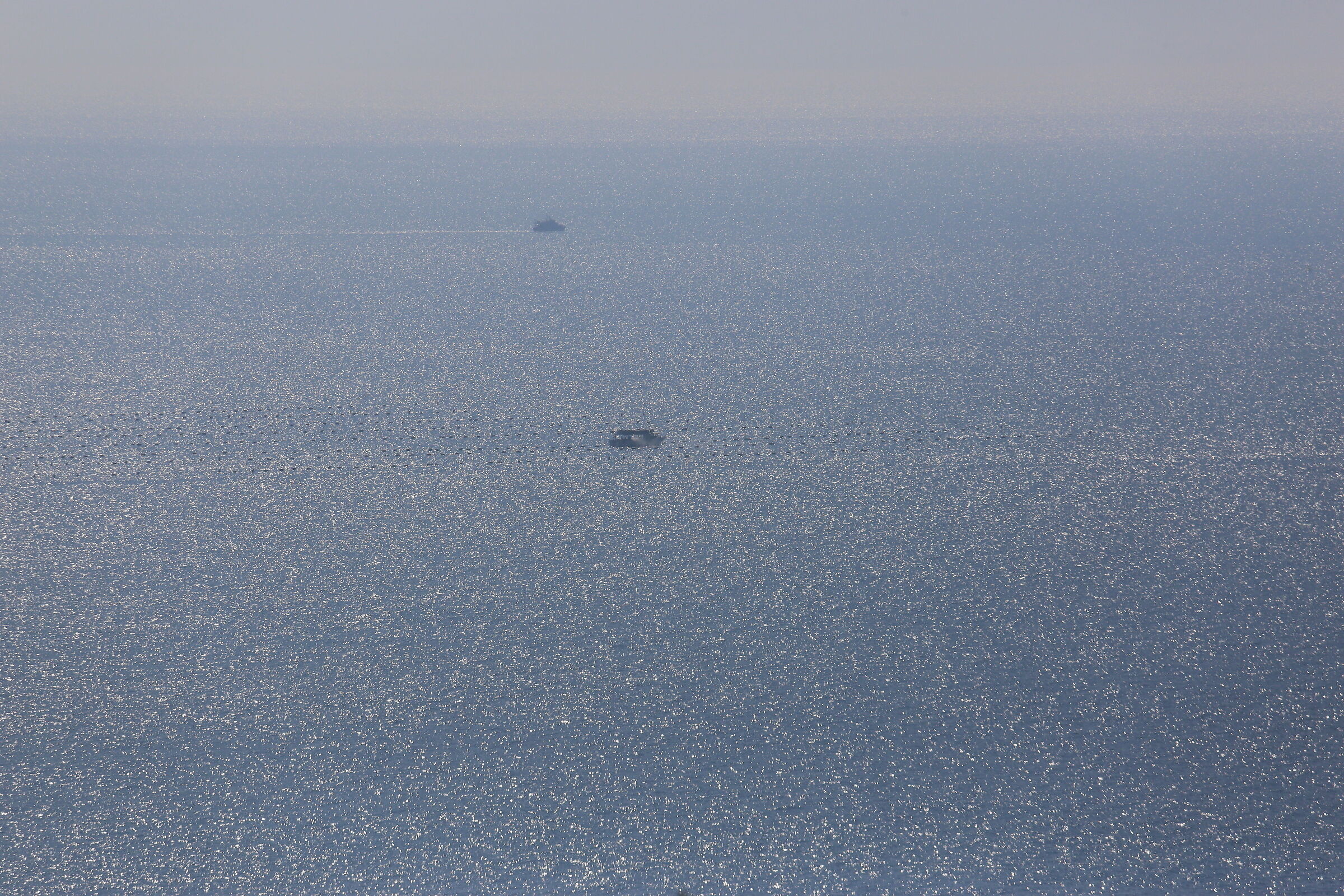 A 300 / Canon 6D- DO 70-300 IS USM