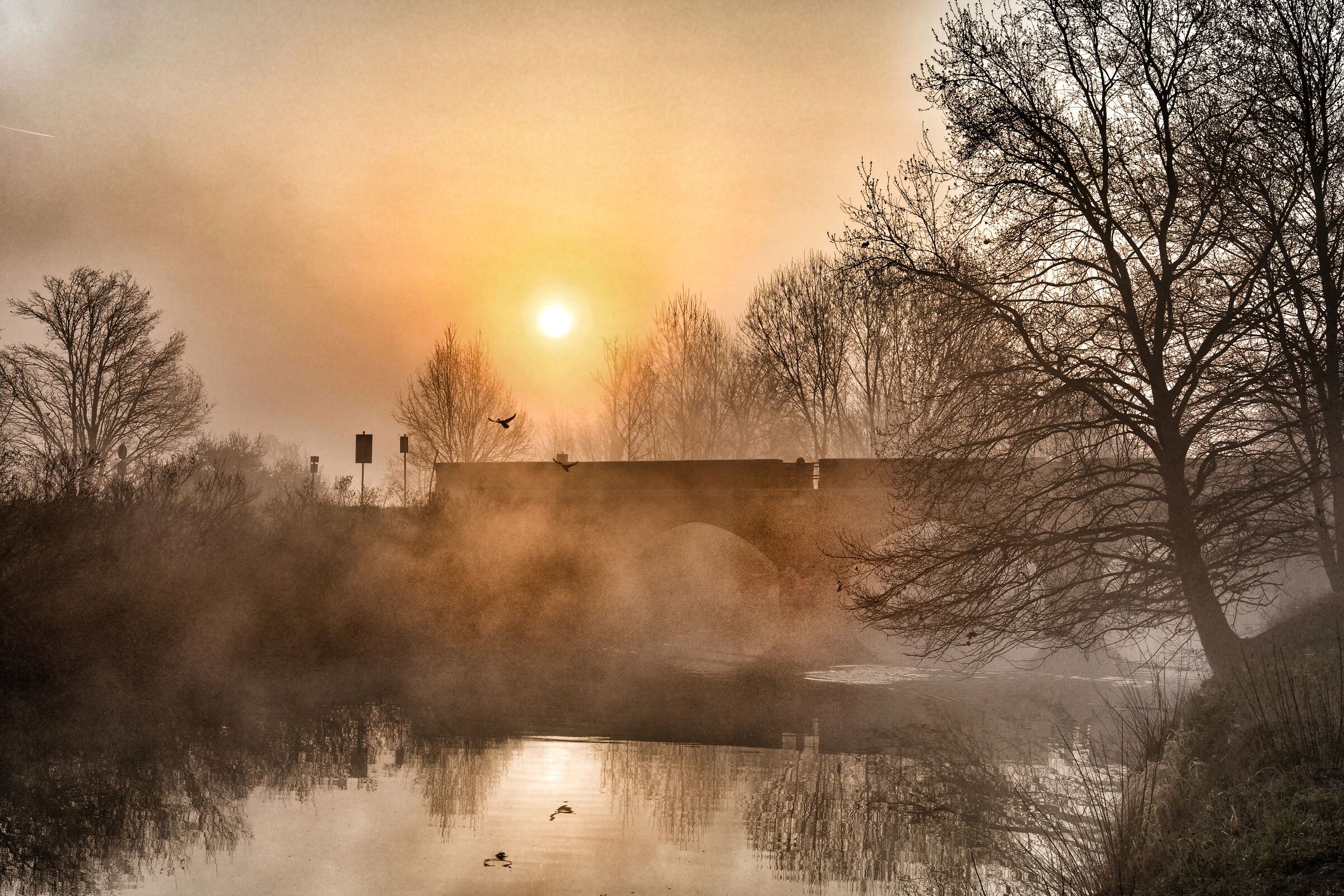 Alba sulla bonifica.