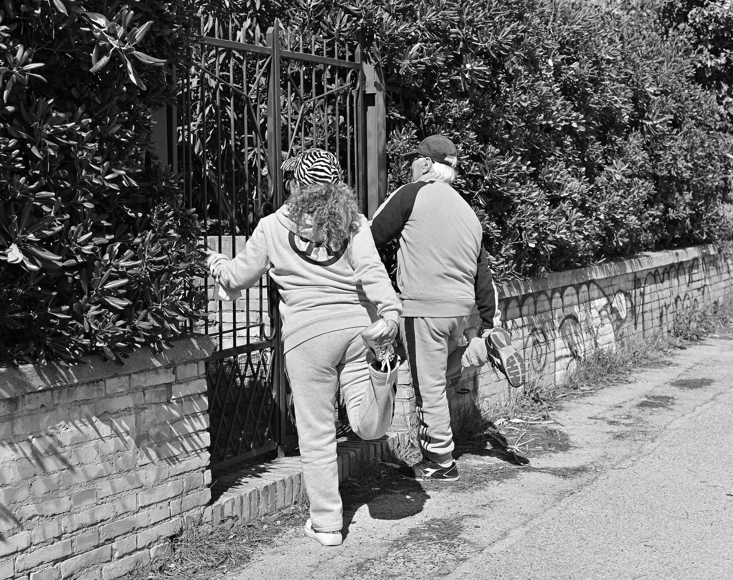 Chichibio and the Crane