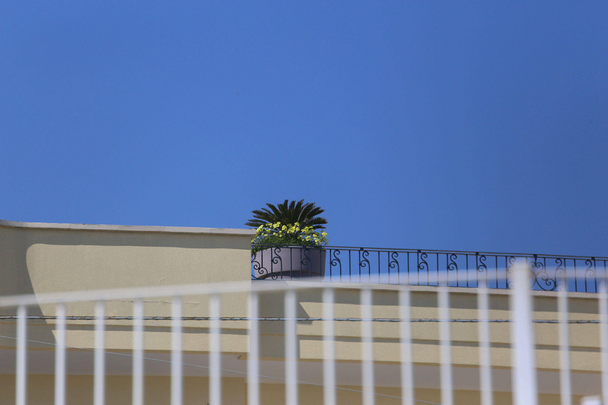 A 300 / Canon 6D- DO 70-300 IS USM