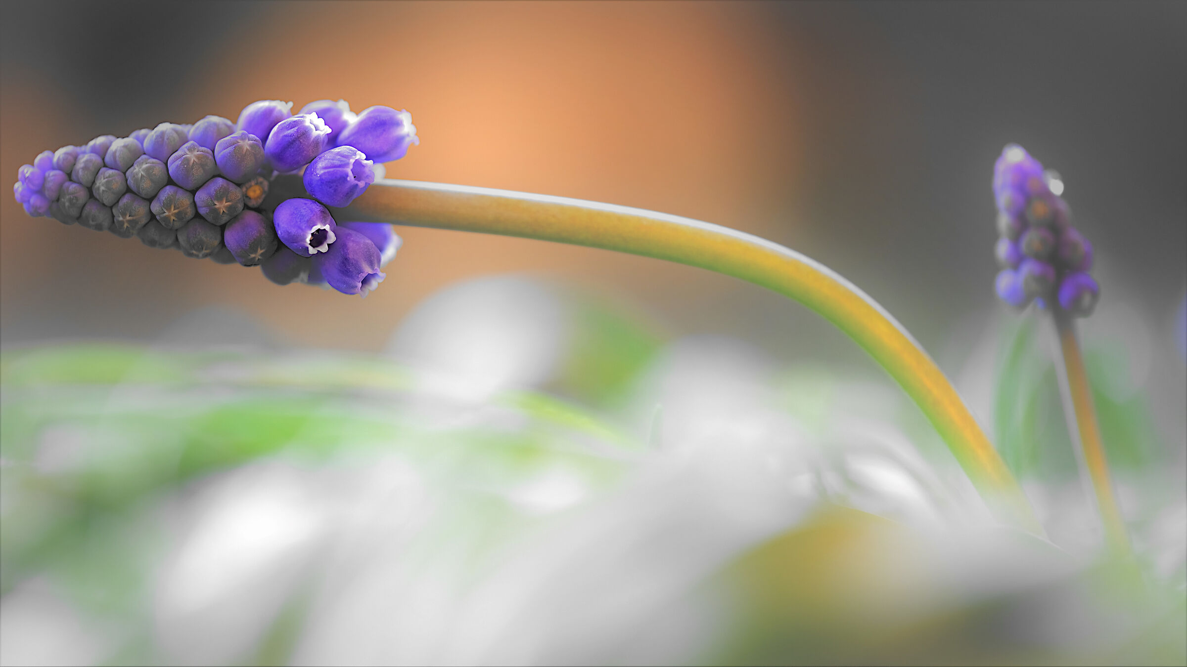 Reverence