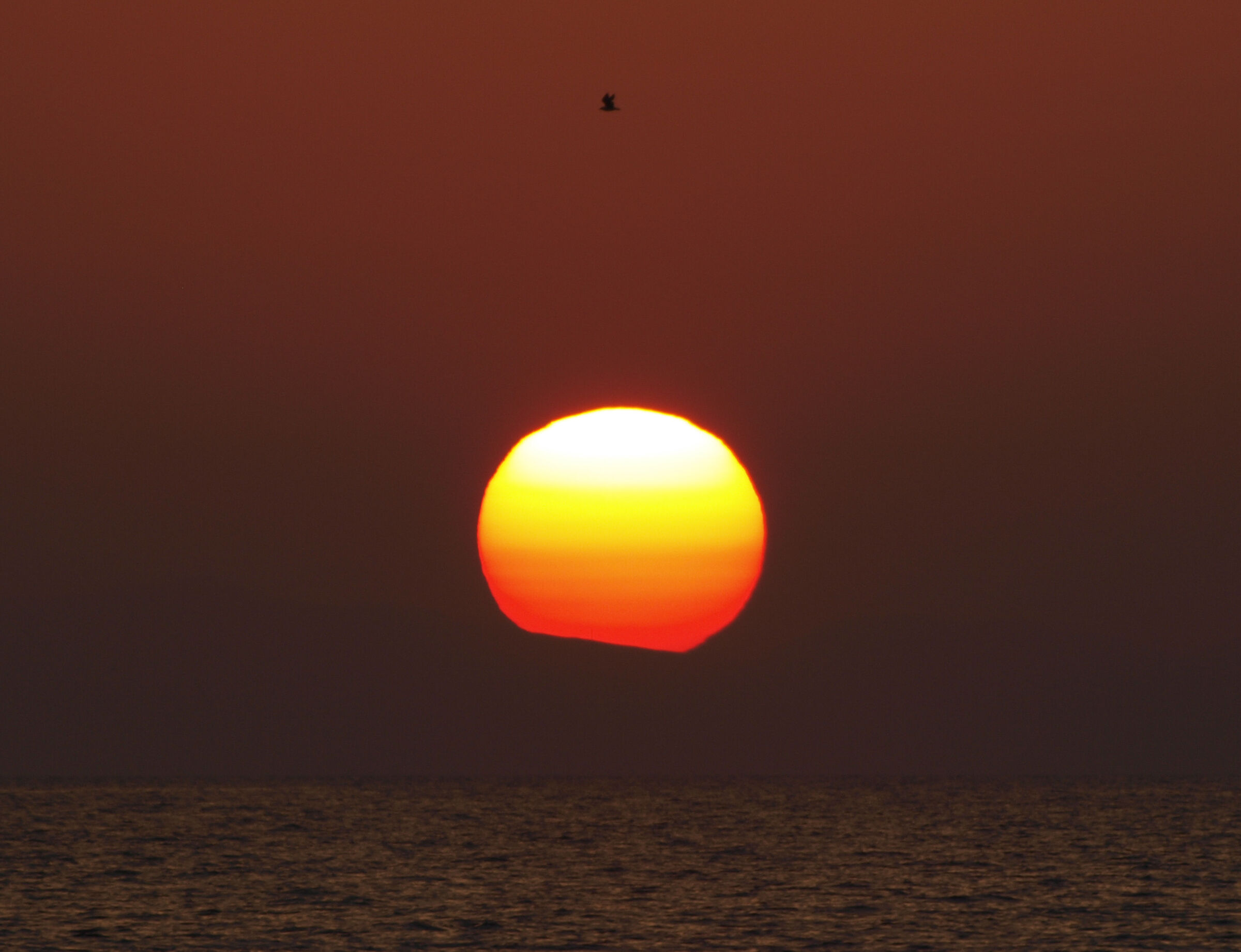 CLASSIC SUN