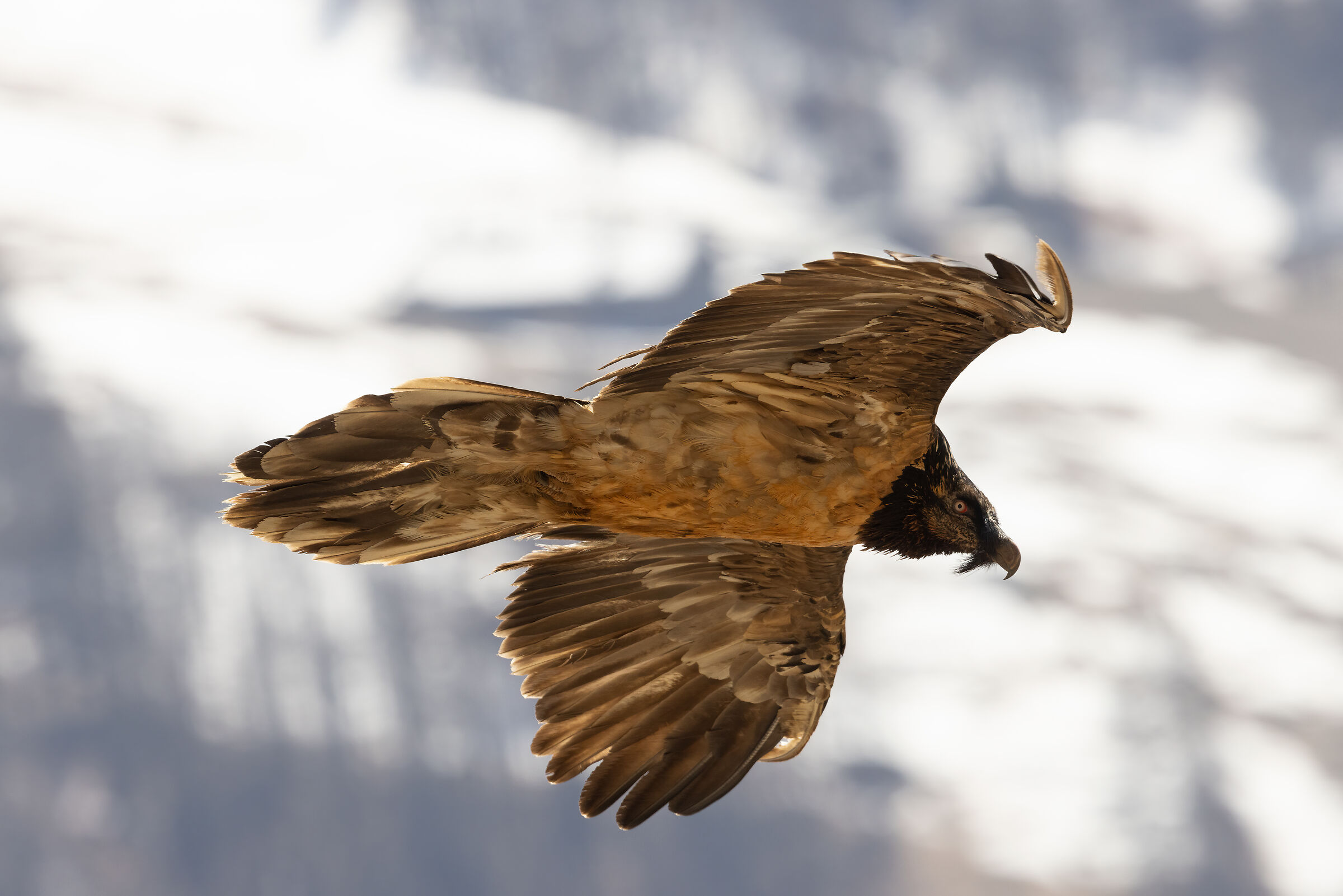 Close passage (no crop)