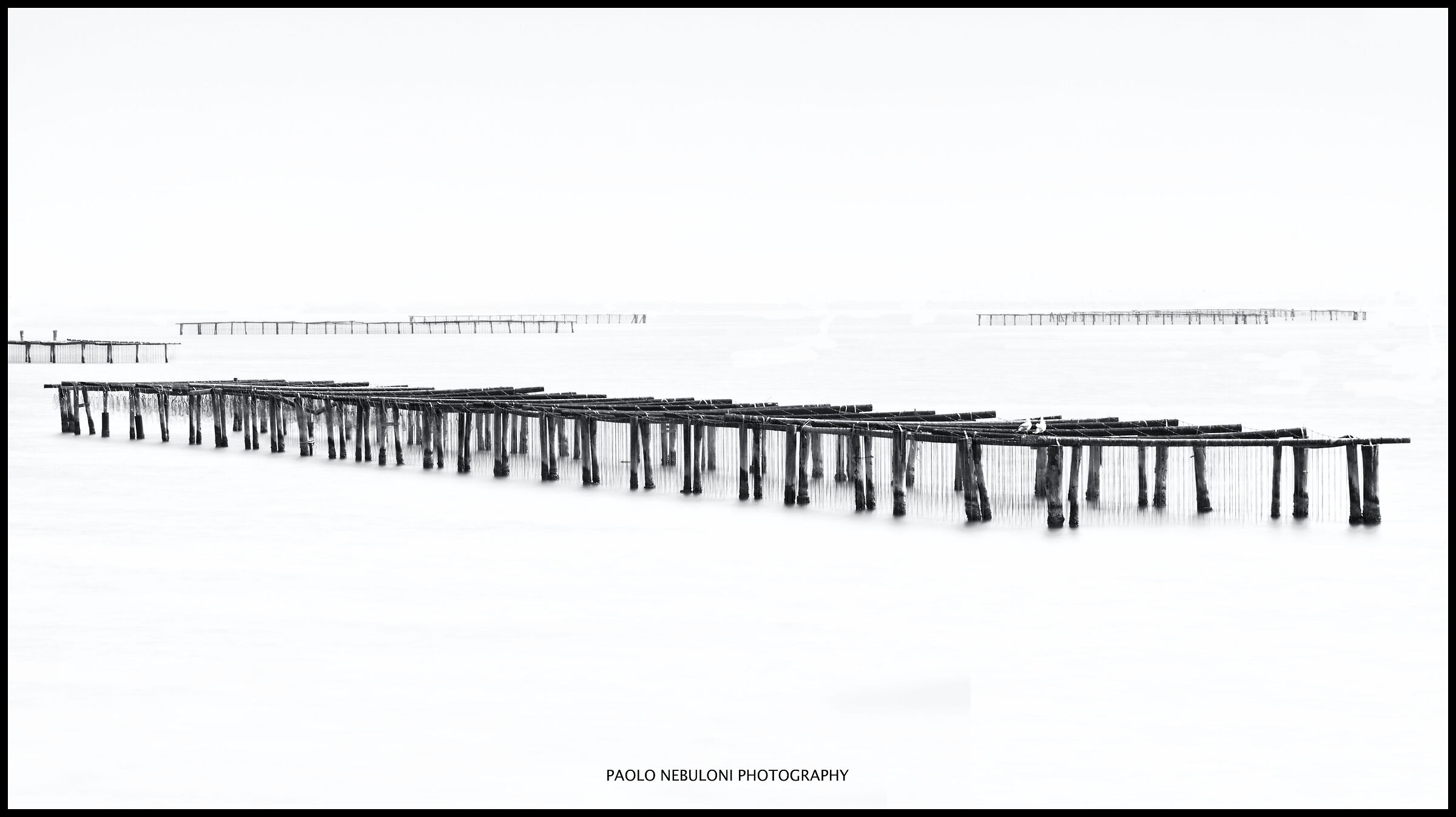 sacca degli Scardovari