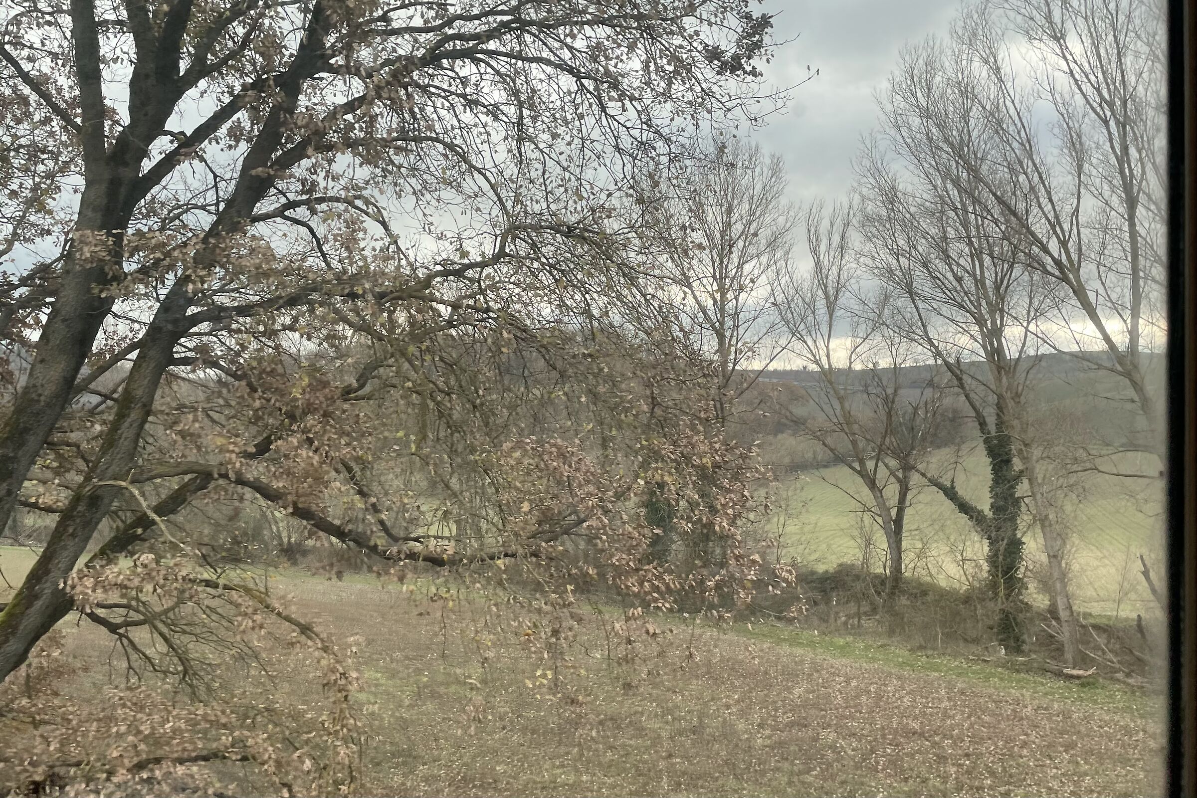 From the train window