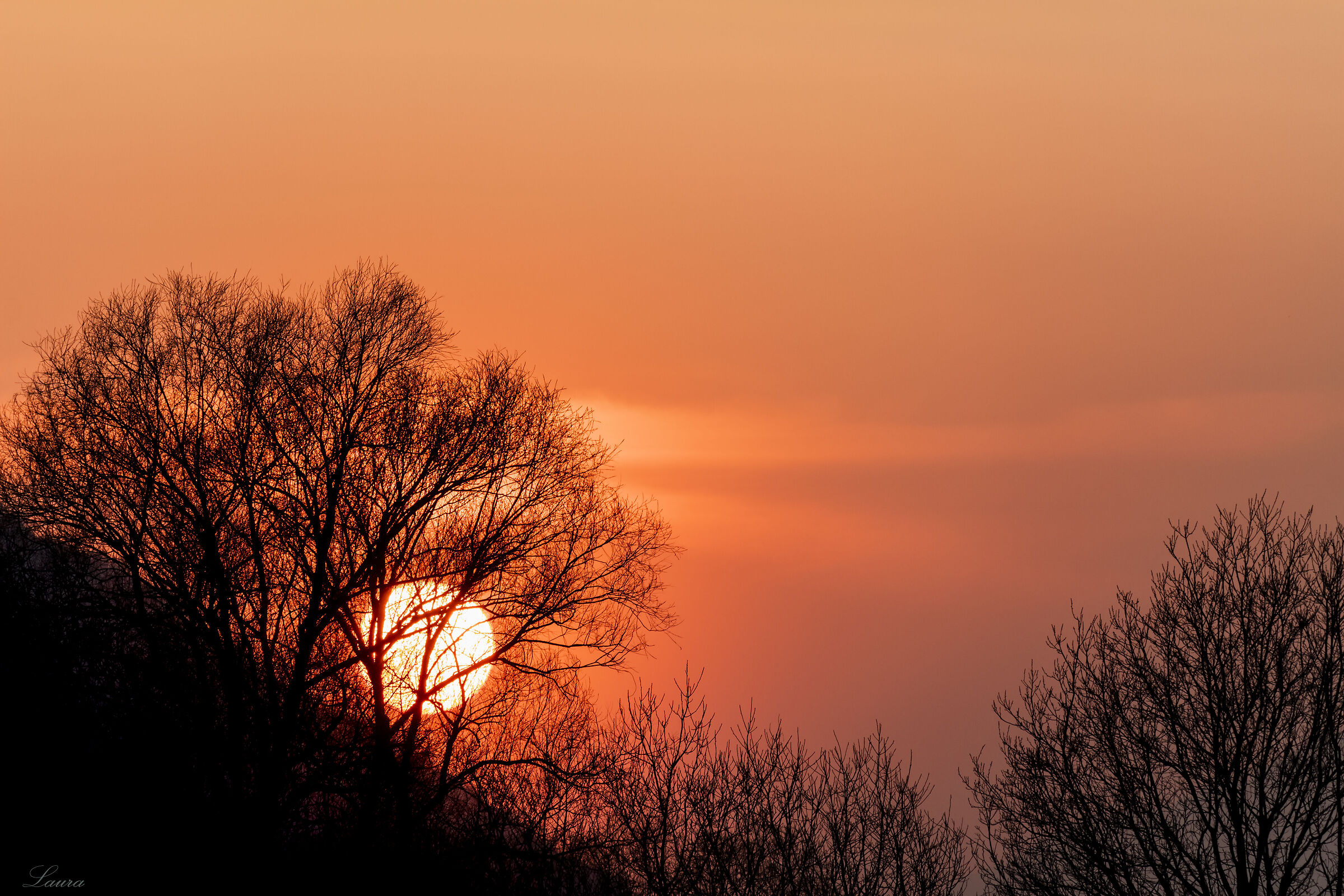 Giocando a nascondino