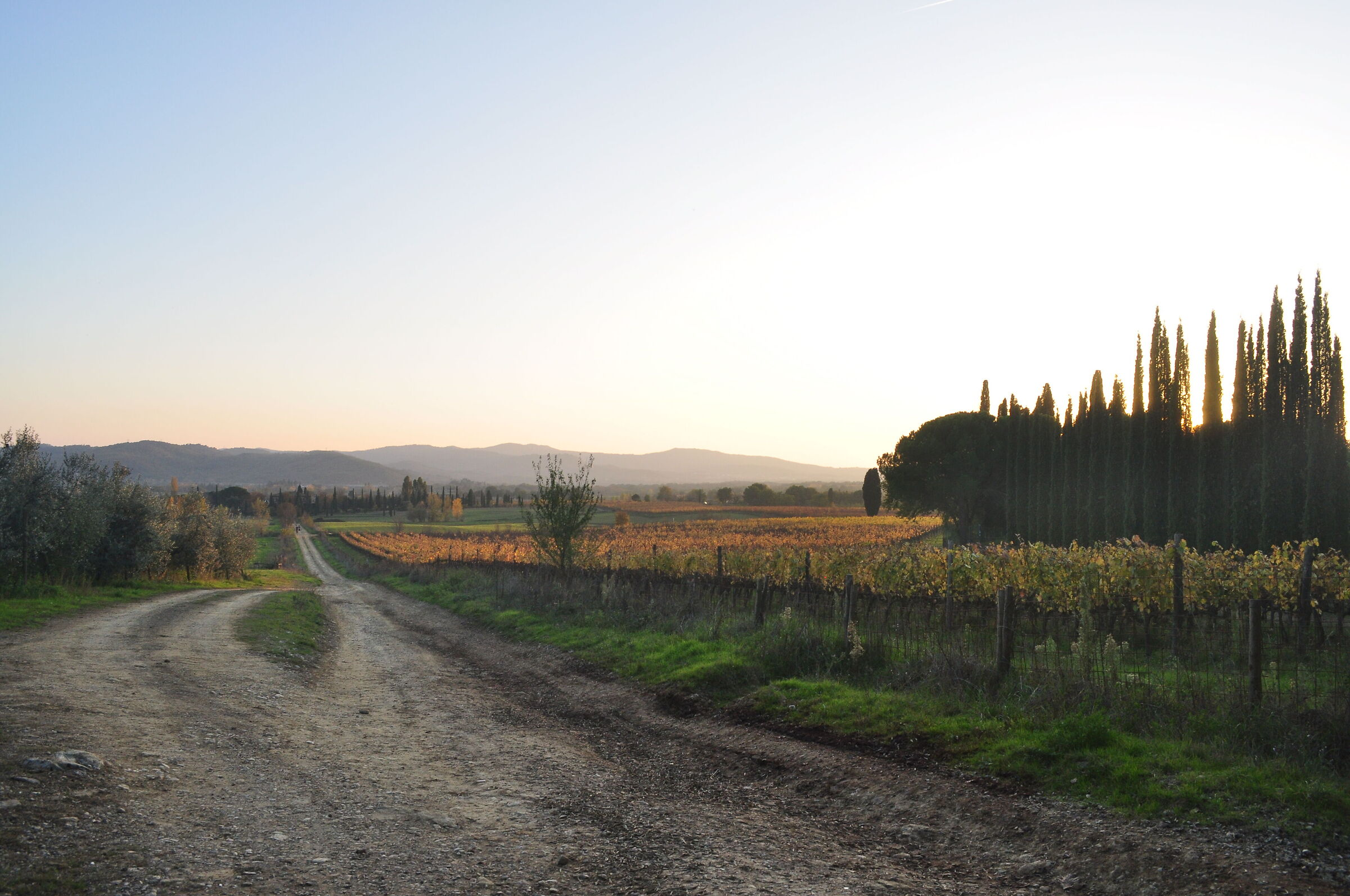 Sunset in the countryside of Arezzo