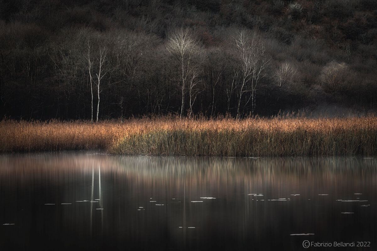 The sound of silence