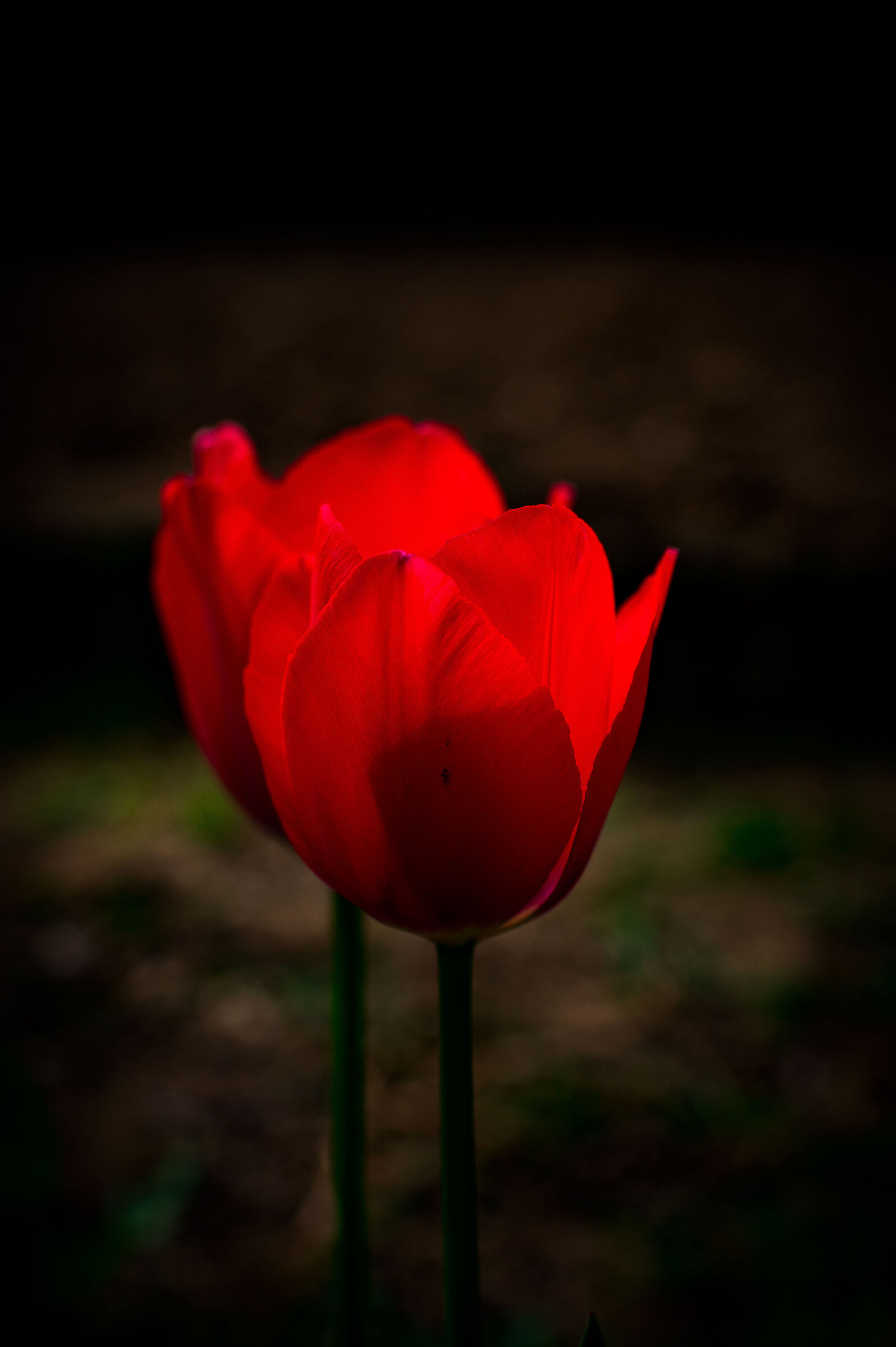 Deep Red