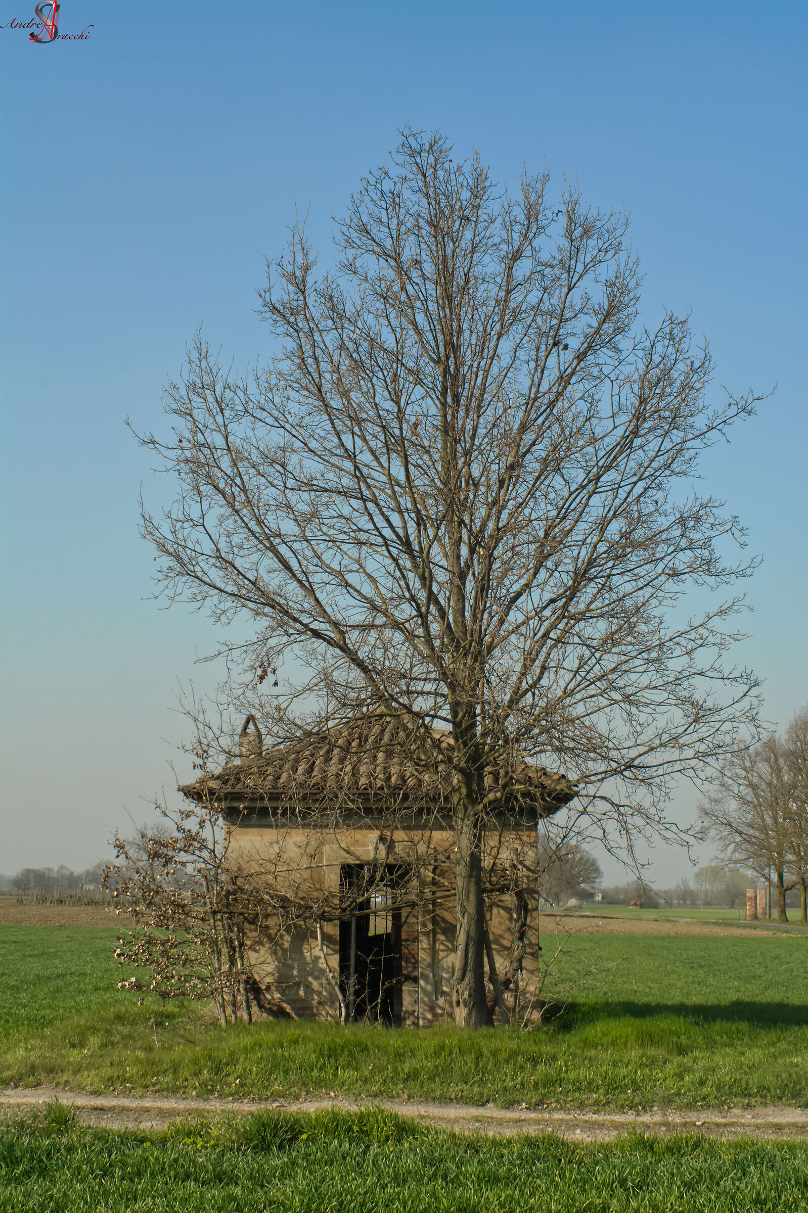 Untitled Photo