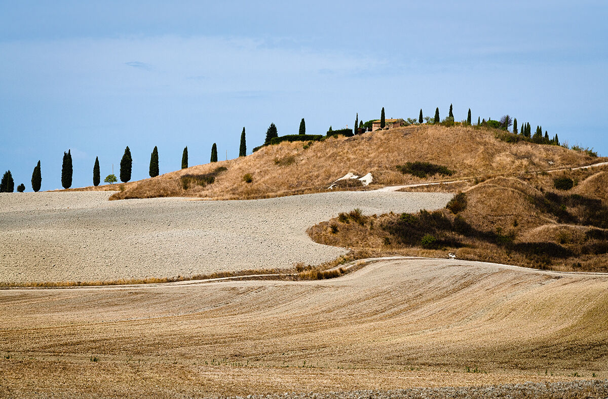 The dragon of the crete.