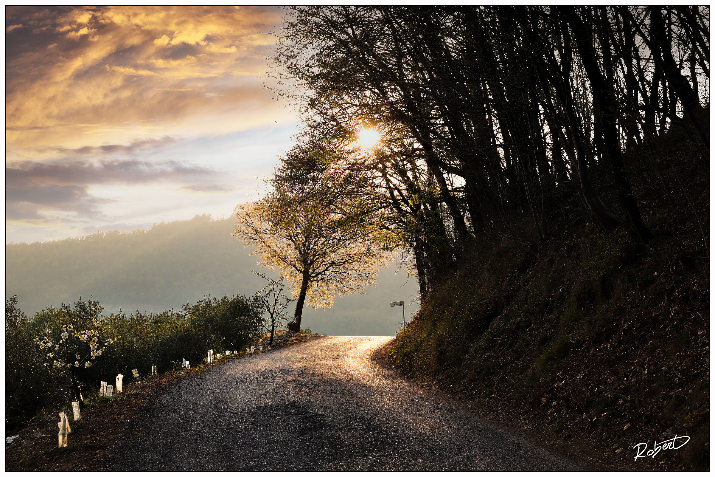 Campiano (Italy)