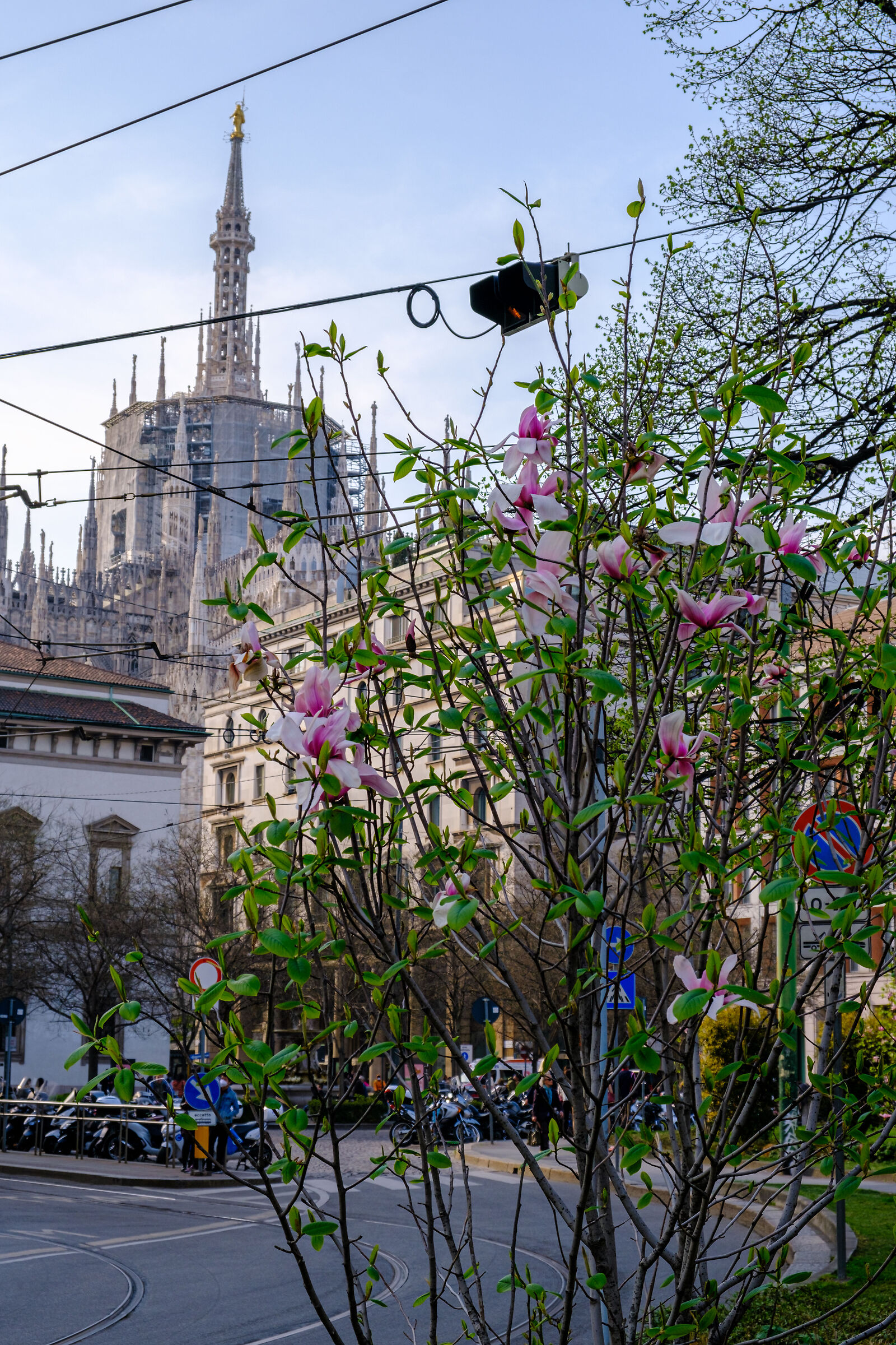 Milan Cathedral