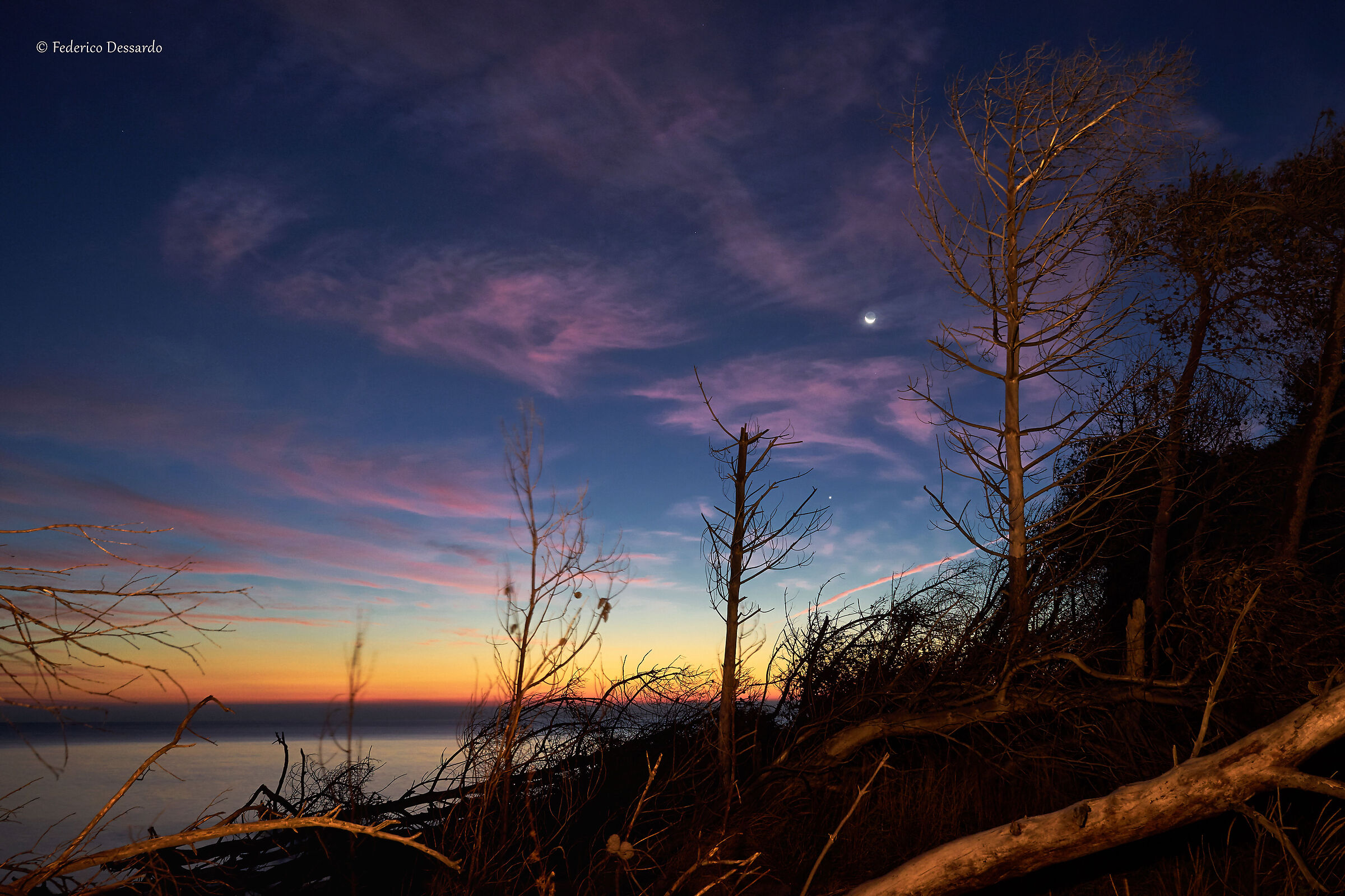 mutazioni dis-organiche