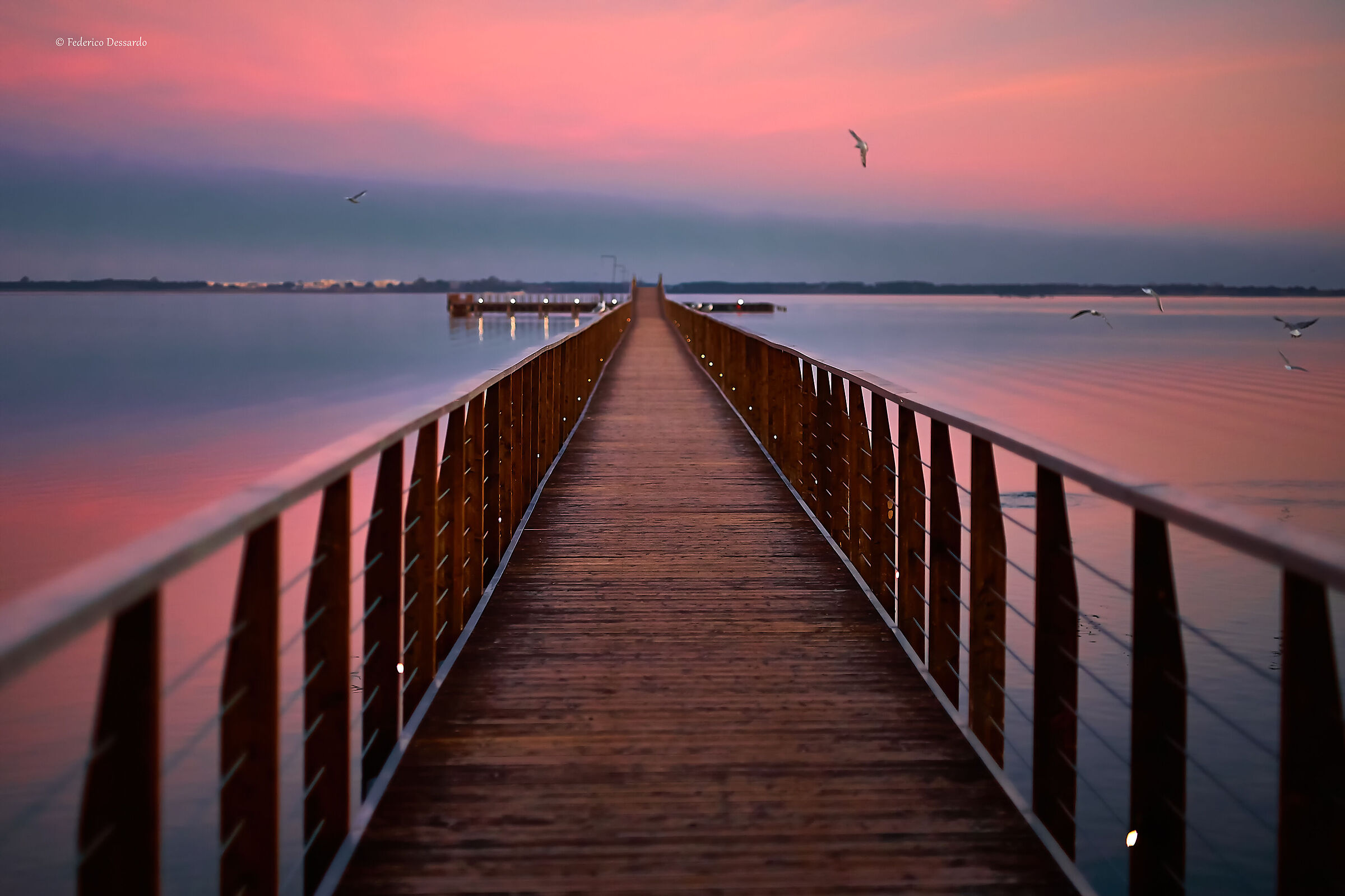 L'alba sul pontile di Lesina-Puglia