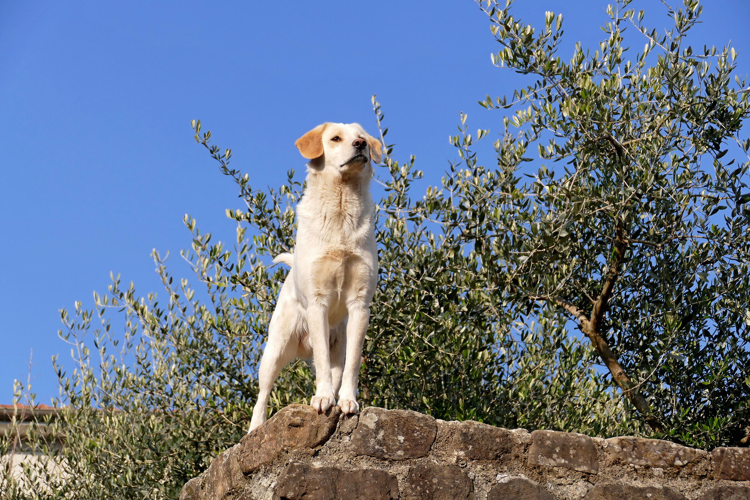Tutto sotto controllo!