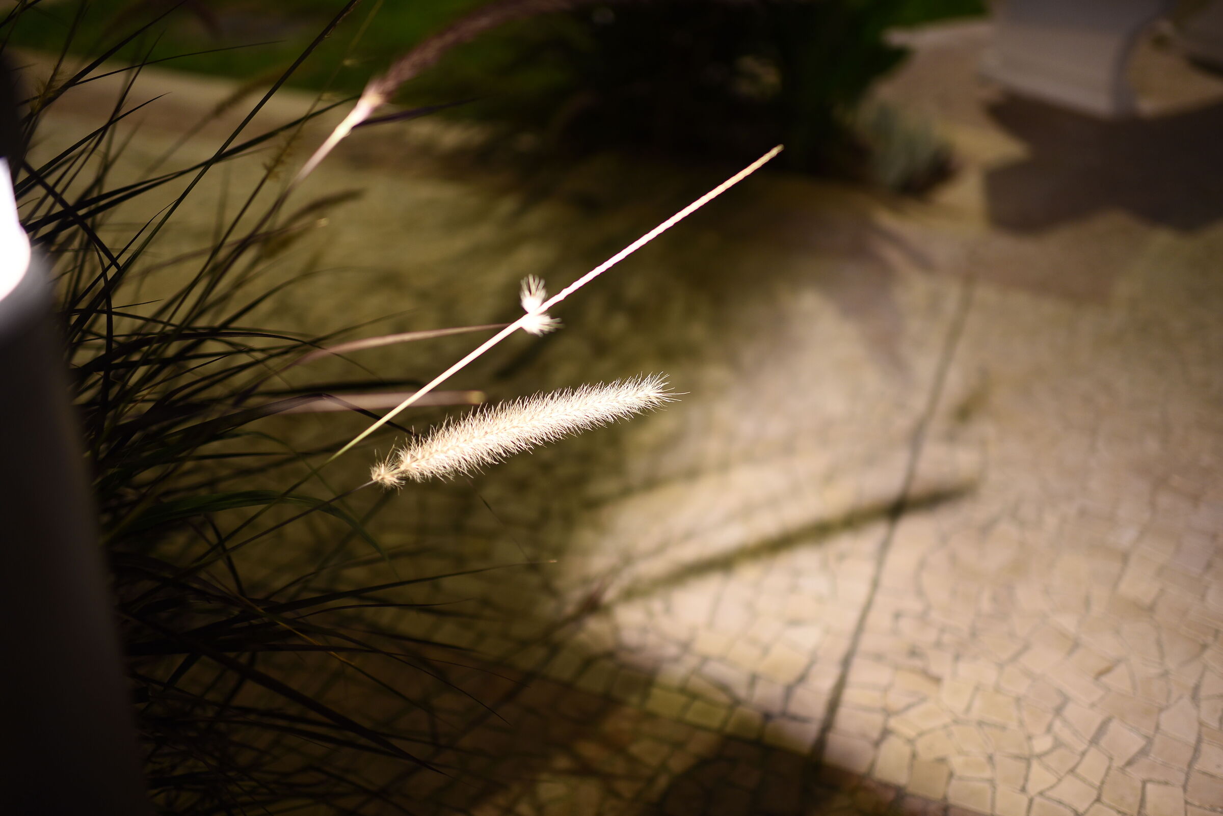 f.1.4 / Tamron 35, 1.4 Di Usd- Nikon 750