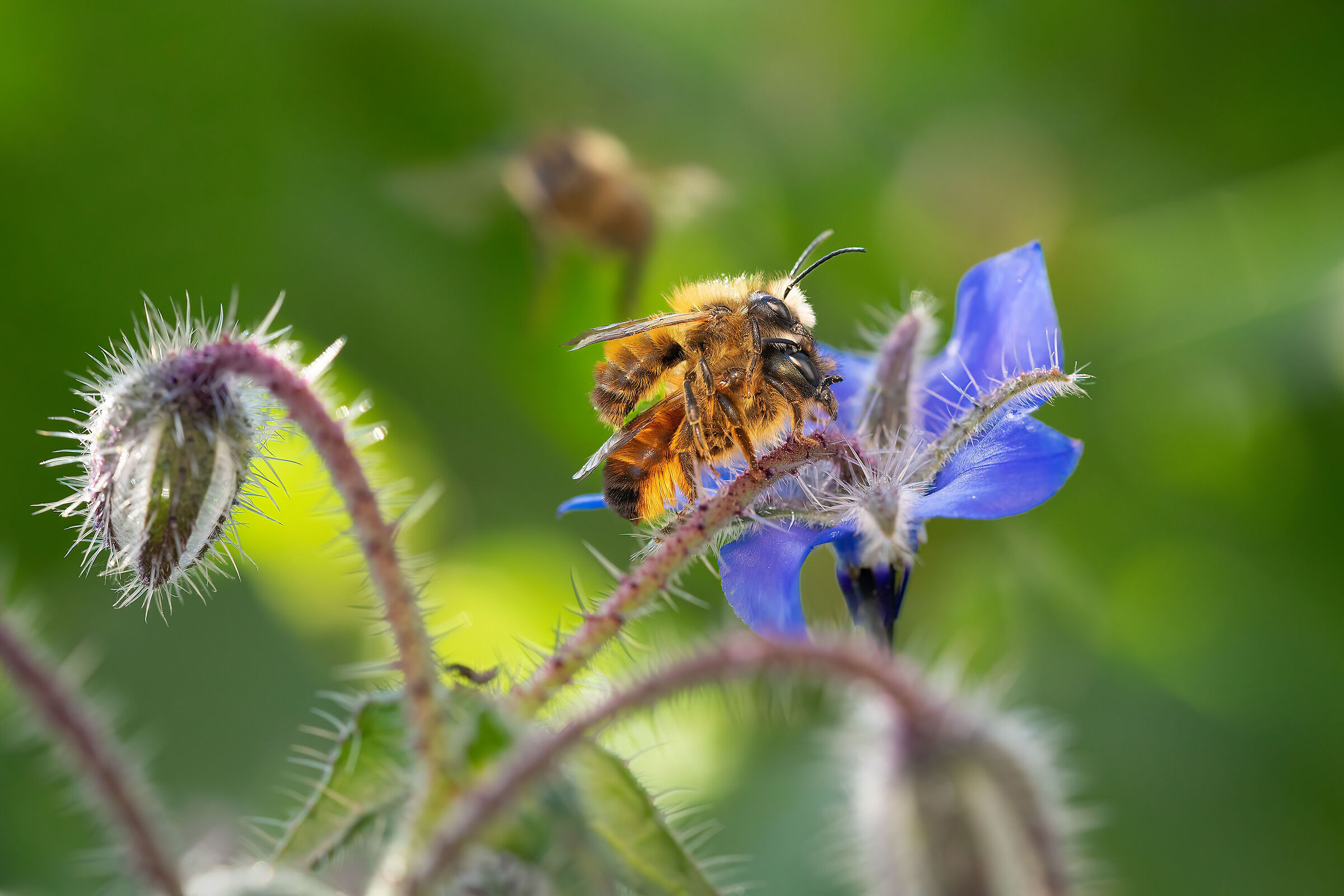 È arrivata la primavera